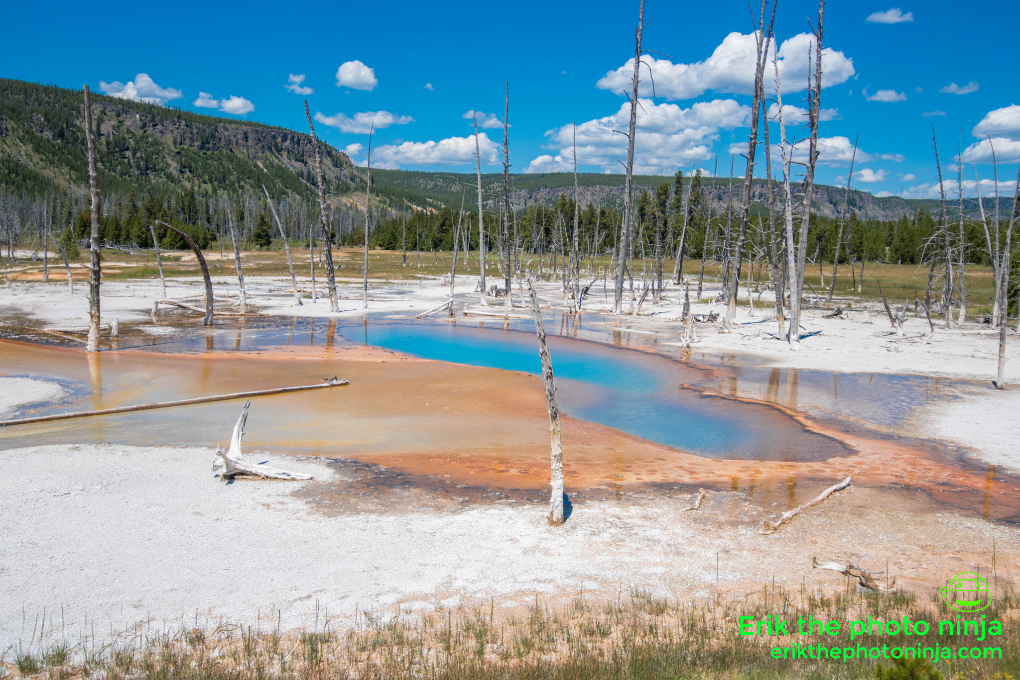 Nikon D750 + Tokina AT-X 17-35mm F4 Pro FX sample photo. Yellowstone photography