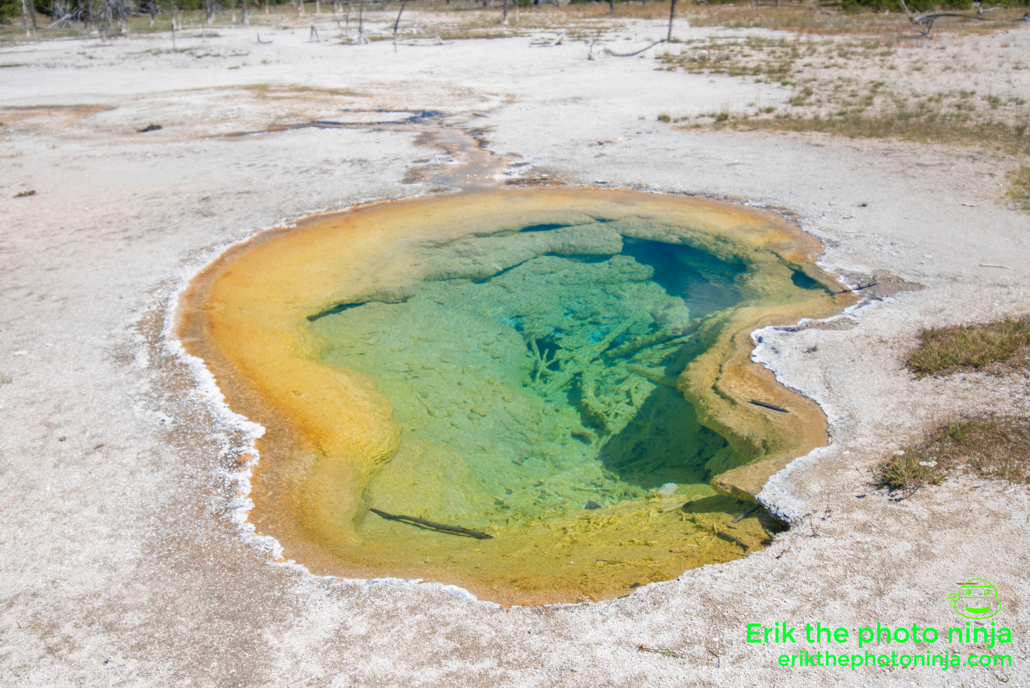 Nikon D750 + Tokina AT-X 17-35mm F4 Pro FX sample photo. Yellowstone photography