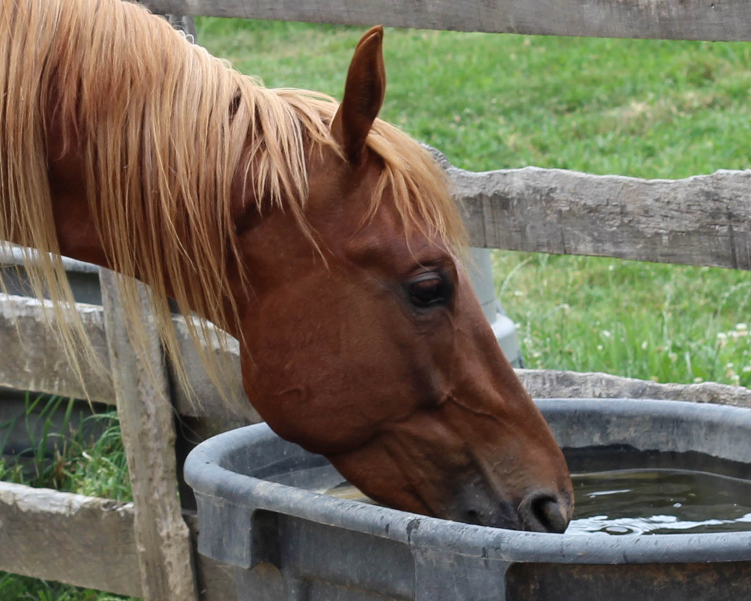 Canon EOS 1200D (EOS Rebel T5 / EOS Kiss X70 / EOS Hi) + Canon EF 50mm F1.8 II sample photo. Led it to water photography