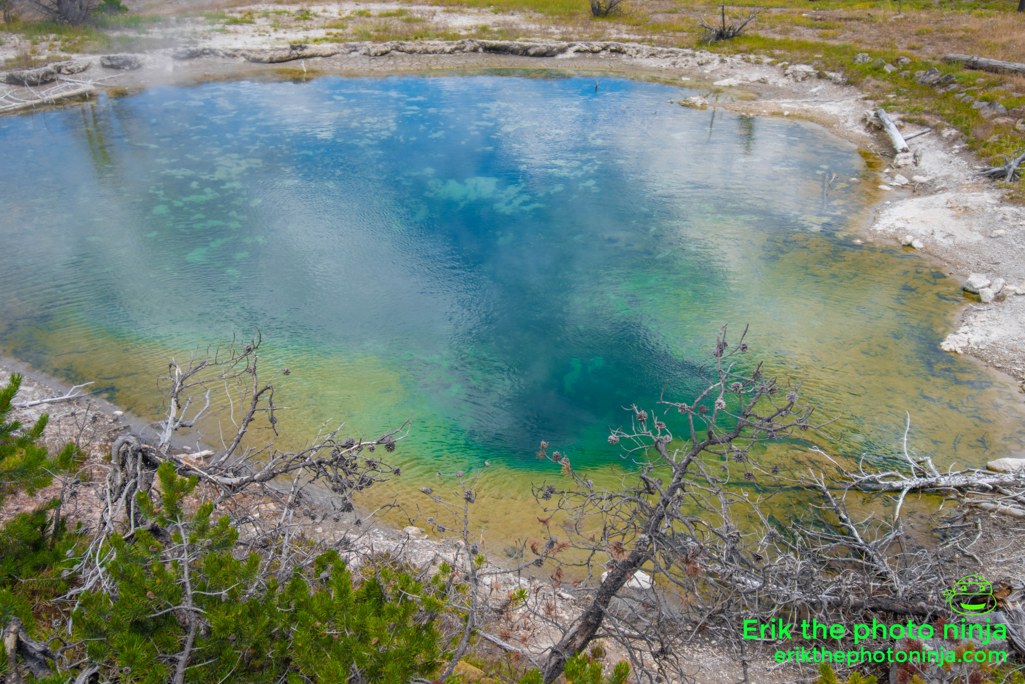 Nikon D750 + Tokina AT-X 17-35mm F4 Pro FX sample photo. Leather pool photography