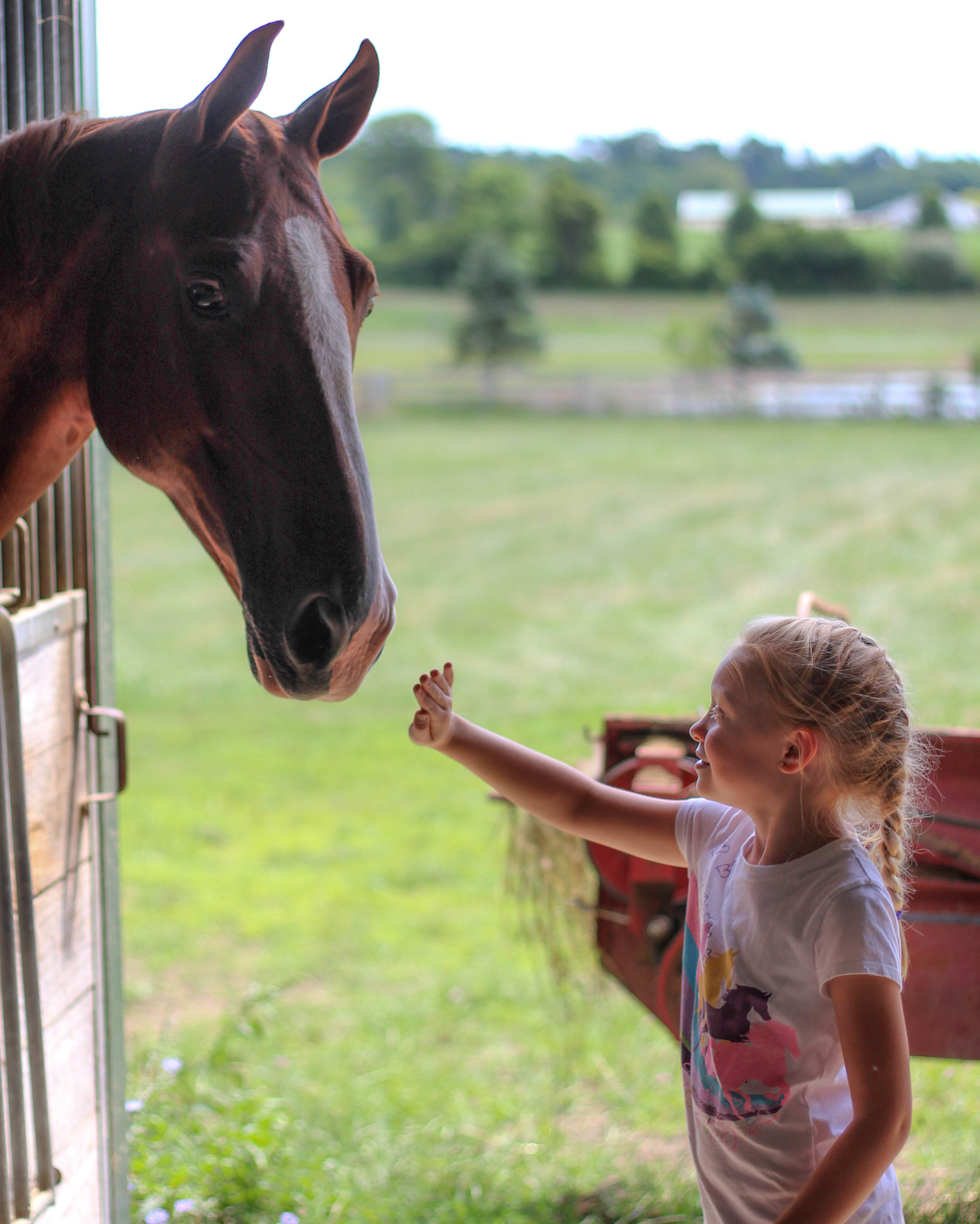 Canon EOS 1200D (EOS Rebel T5 / EOS Kiss X70 / EOS Hi) + Canon EF 50mm F1.8 II sample photo. Horse and child photography