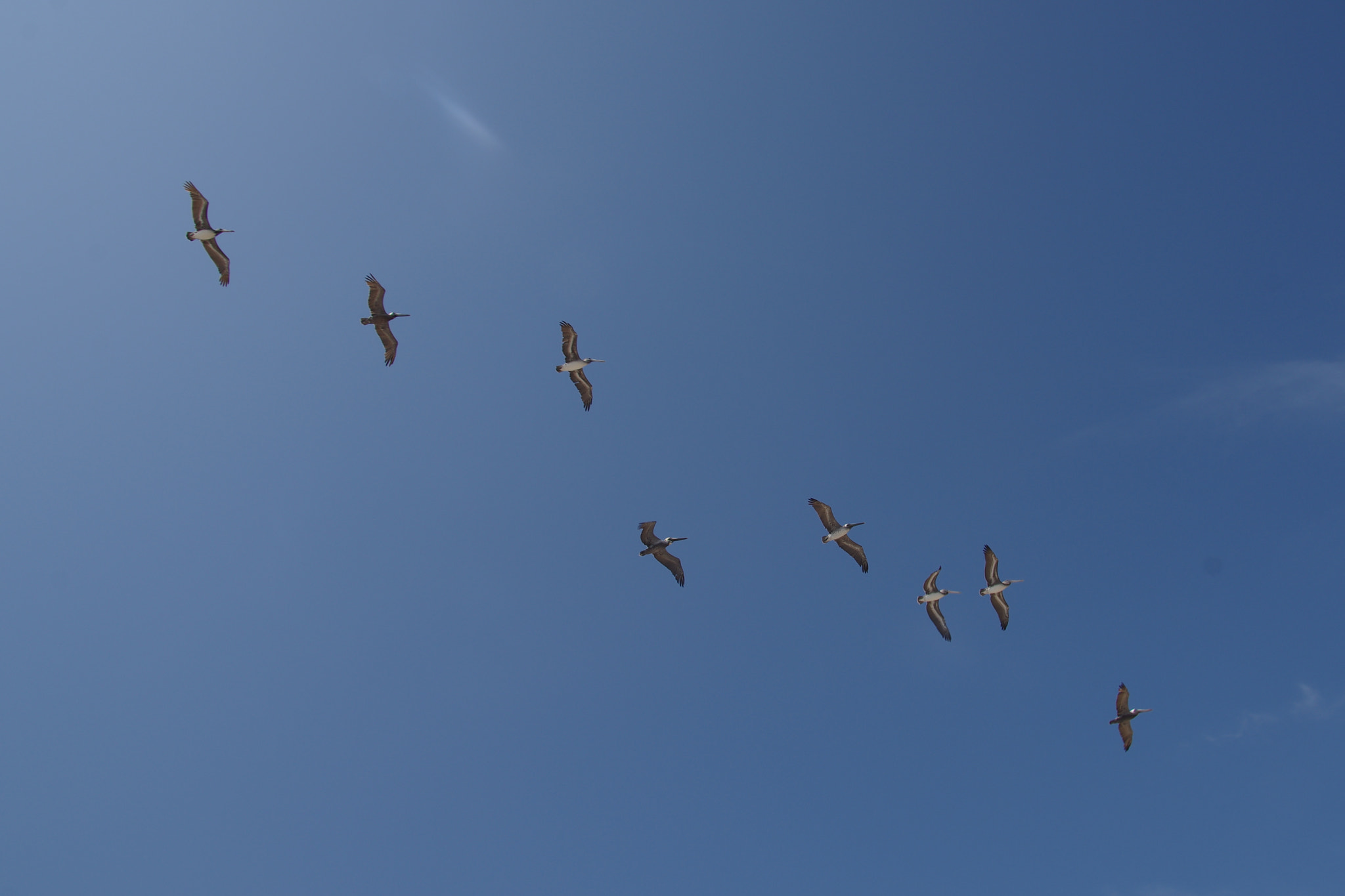 Pentax smc DA* 16-50mm F2.8 ED AL (IF) SDM sample photo. Sobrevuelo celestial photography