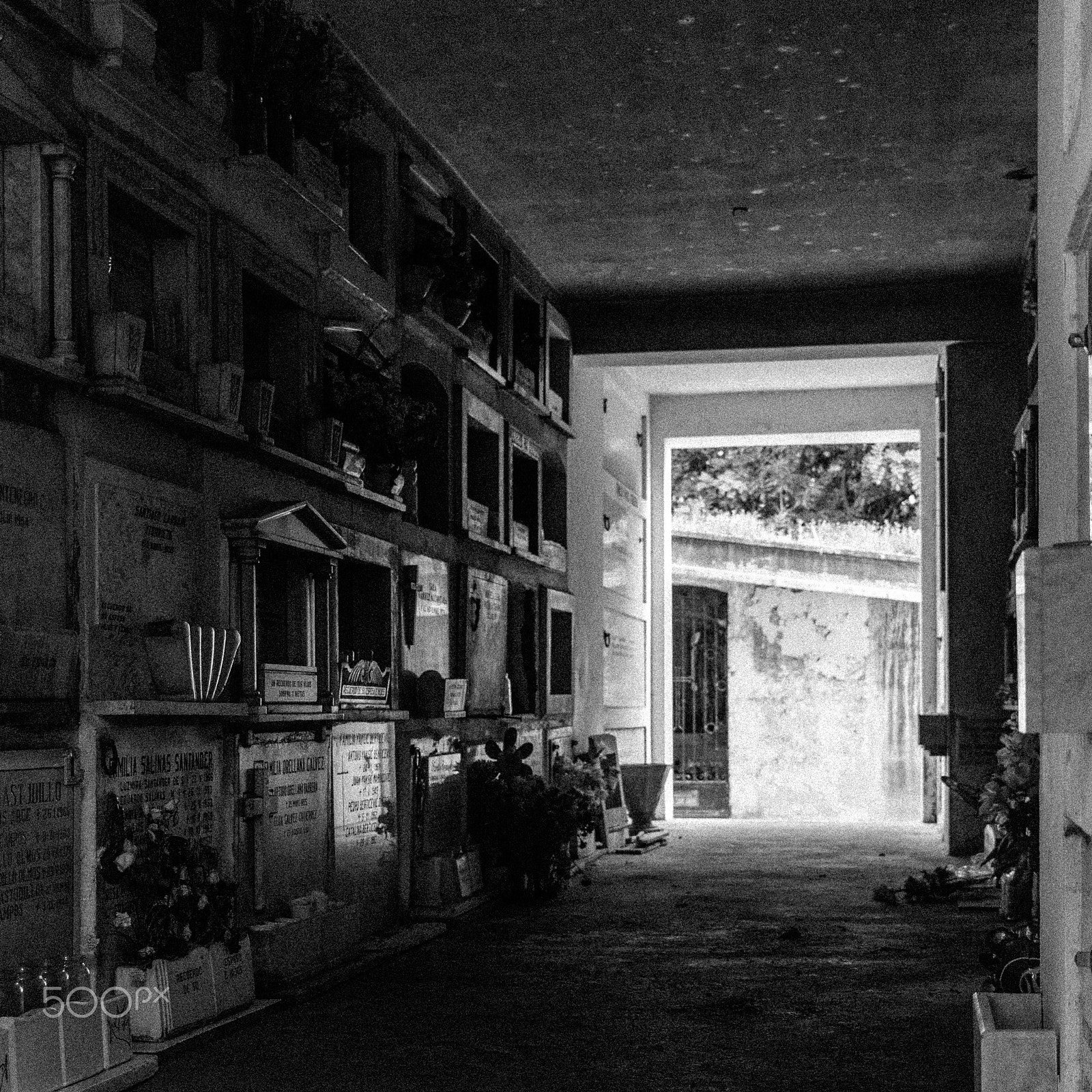 Canon EOS 760D (EOS Rebel T6s / EOS 8000D) sample photo. Cementerio católico de santiago photography