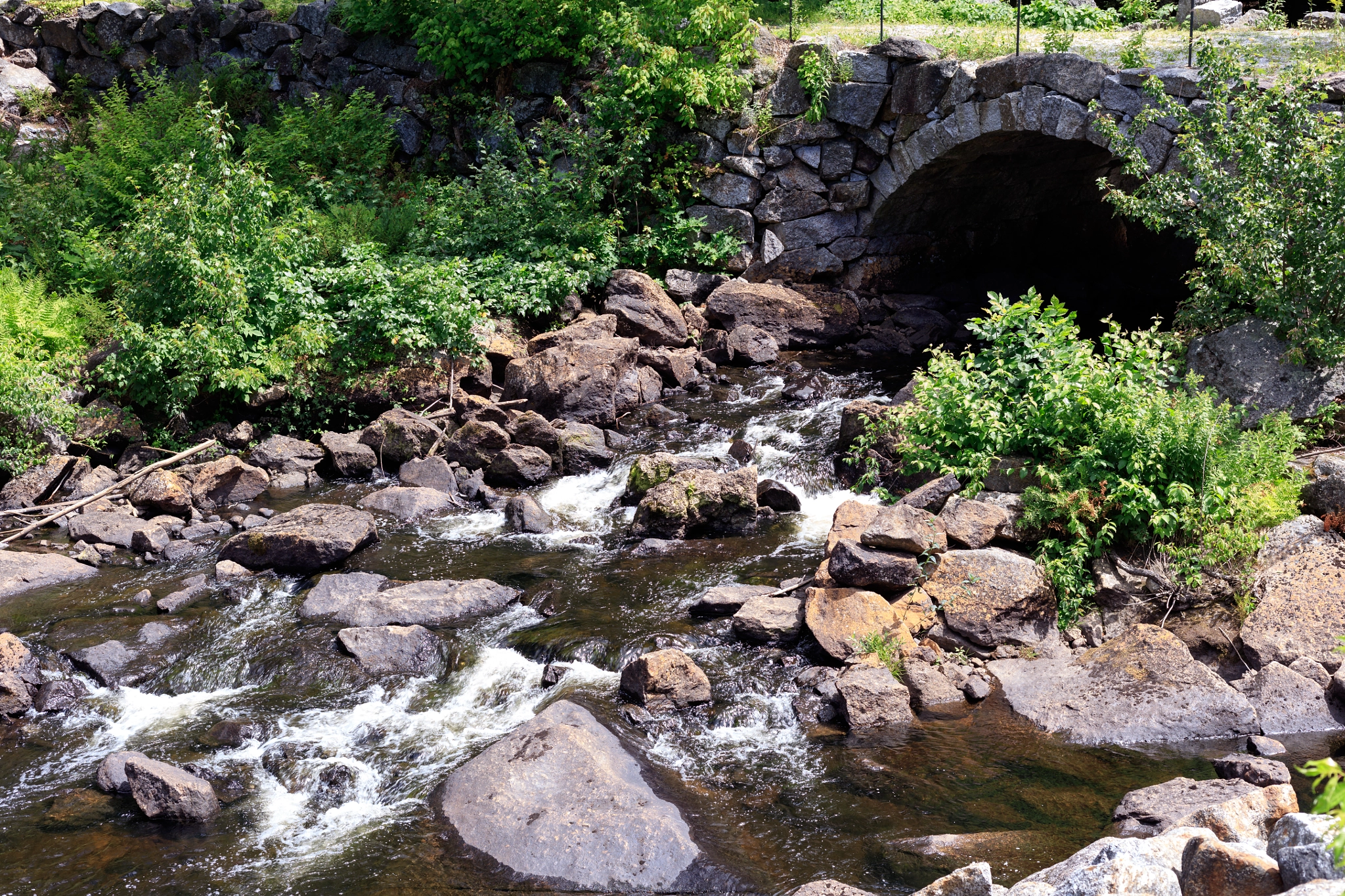 Canon EOS 5DS R sample photo. 20160716-_71a0923.jpg photography