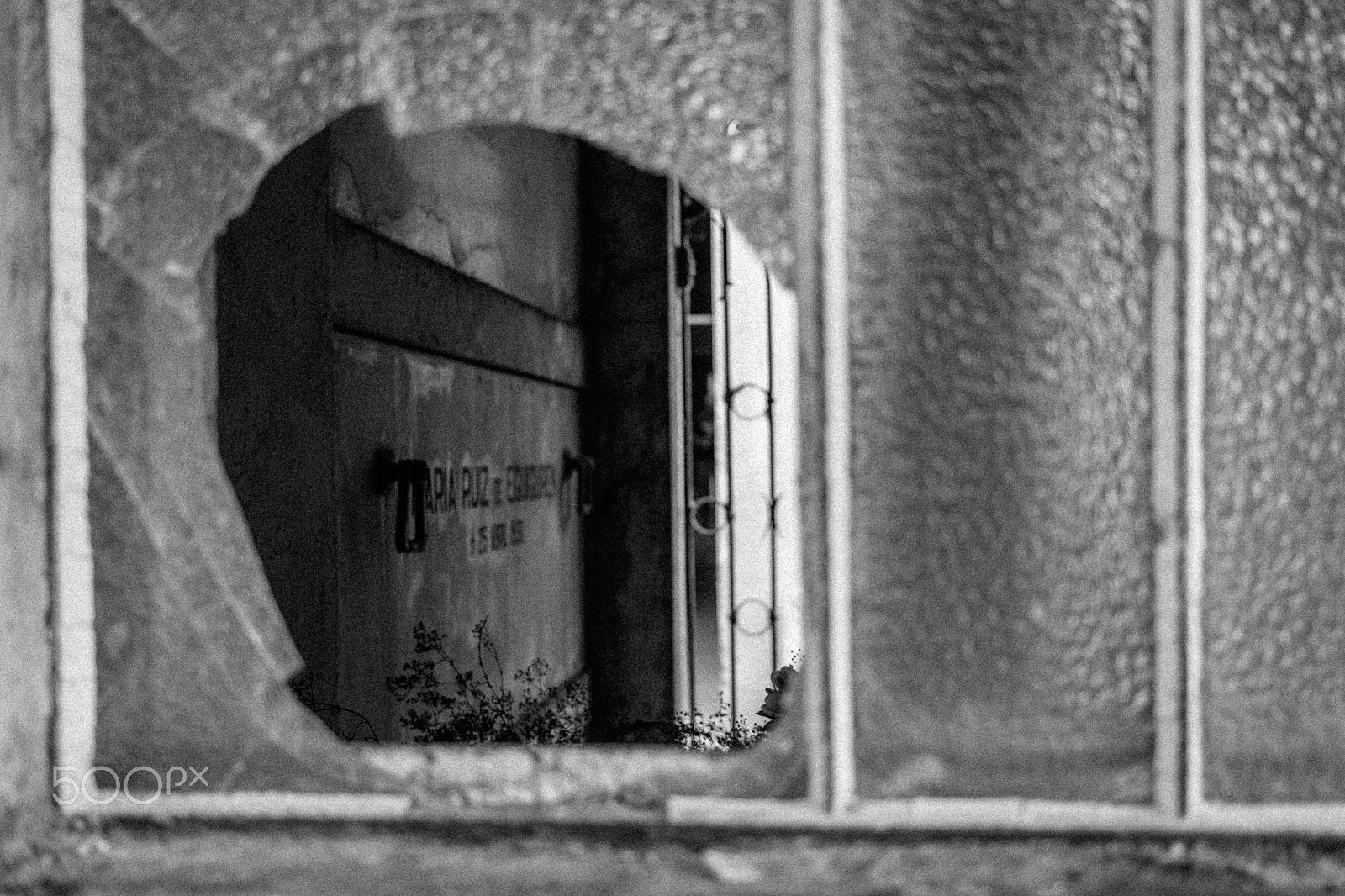 Canon EOS 760D (EOS Rebel T6s / EOS 8000D) sample photo. Cementerio católico de santiago photography