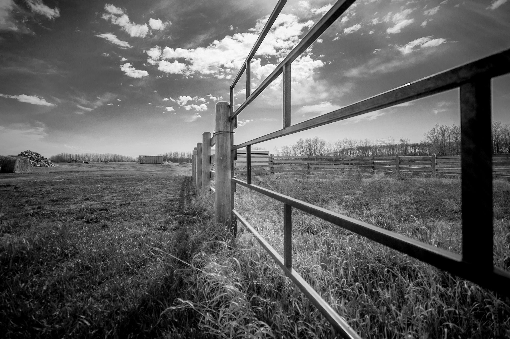 Canon EOS 650D (EOS Rebel T4i / EOS Kiss X6i) sample photo. Fencing photography