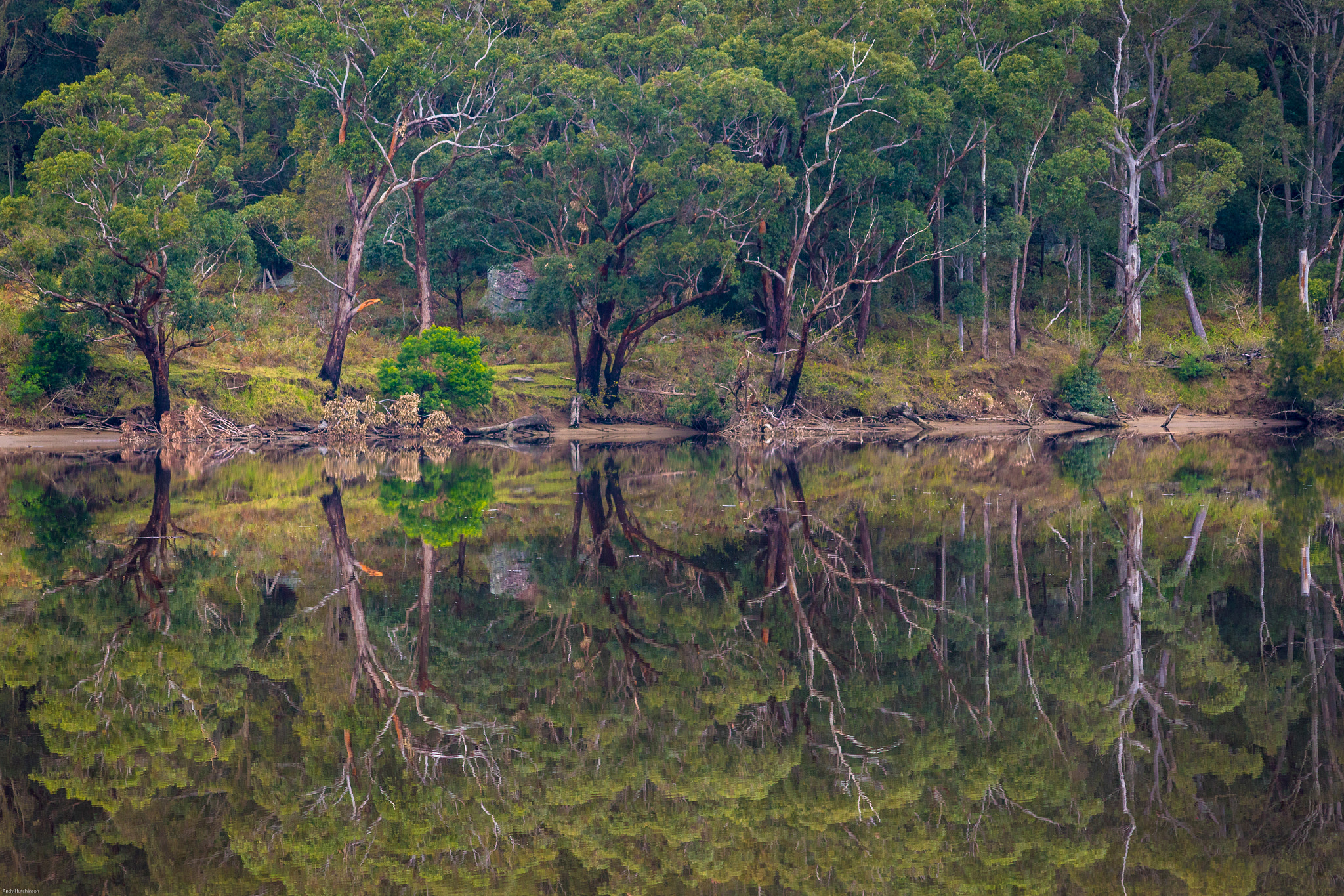 Canon EOS 7D Mark II + Sigma 50-200mm F4-5.6 DC OS HSM sample photo. Reflections in the shoalhaven photography
