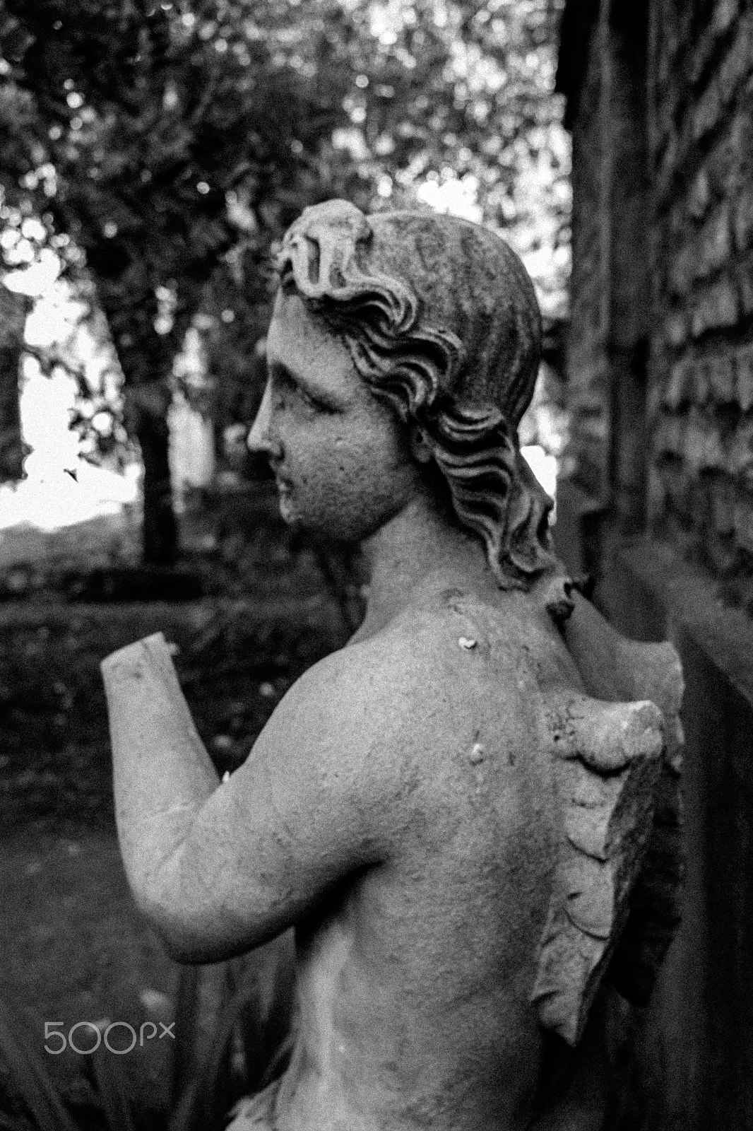 Canon EOS 760D (EOS Rebel T6s / EOS 8000D) sample photo. Cementerio católico de santiago photography