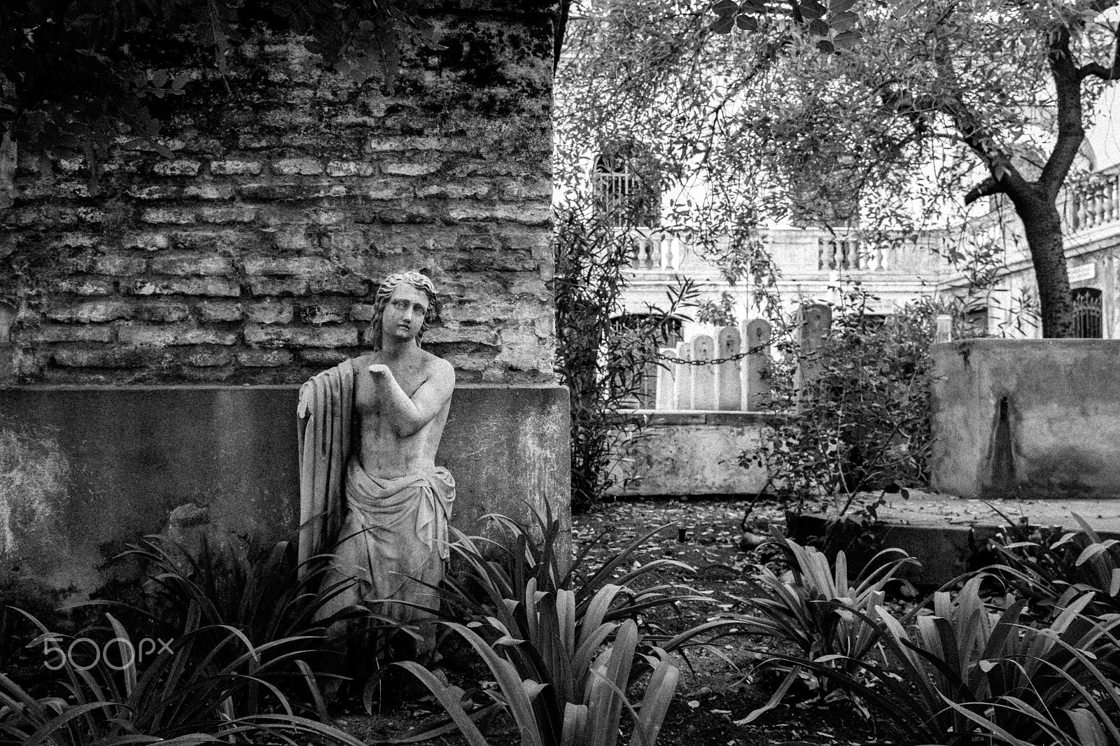 Canon EOS 760D (EOS Rebel T6s / EOS 8000D) sample photo. Cementerio católico de santiago photography