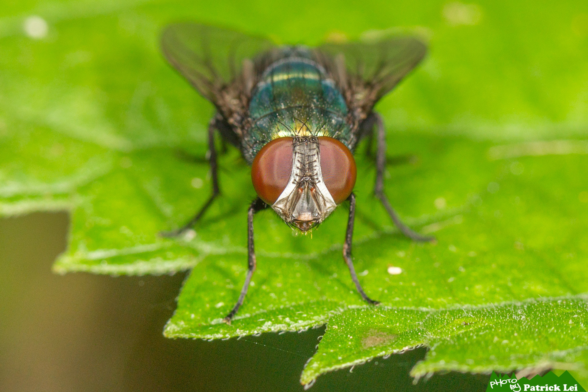 Canon EOS-1D Mark IV sample photo. Fly - on you mark photography