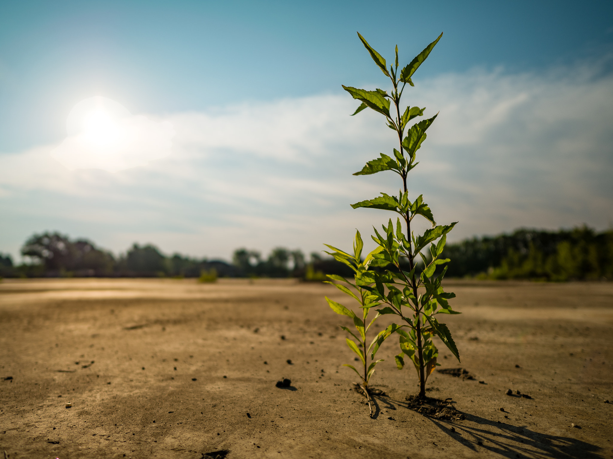 Panasonic Lumix DMC-GX8 + LEICA DG SUMMILUX 12/F1.4 sample photo. Gx8_12mm_summilux_3 photography