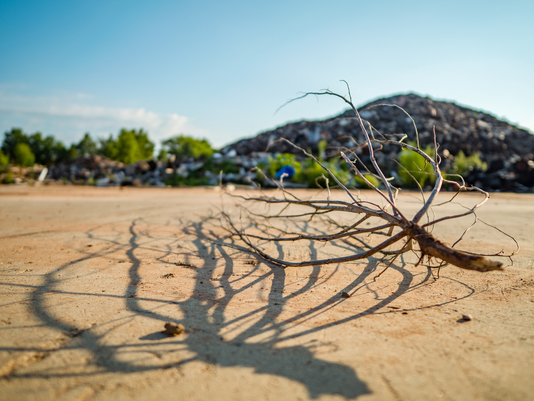 Panasonic Lumix DMC-GX8 + LEICA DG SUMMILUX 12/F1.4 sample photo. Gx8_12mm_summilux_5 photography