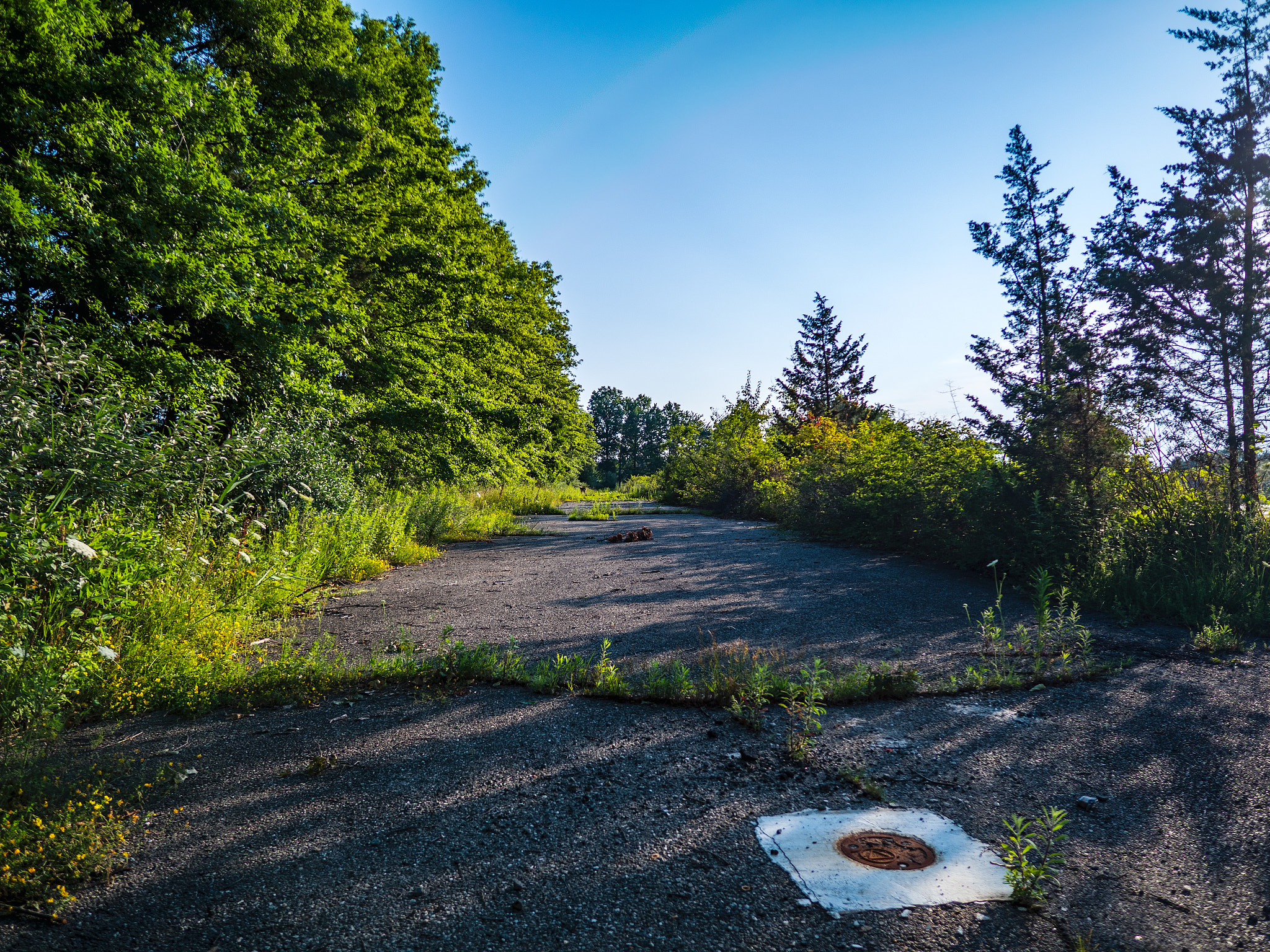 Panasonic Lumix DMC-GX8 + LEICA DG SUMMILUX 12/F1.4 sample photo. Gx8_12mm_summilux_9 photography