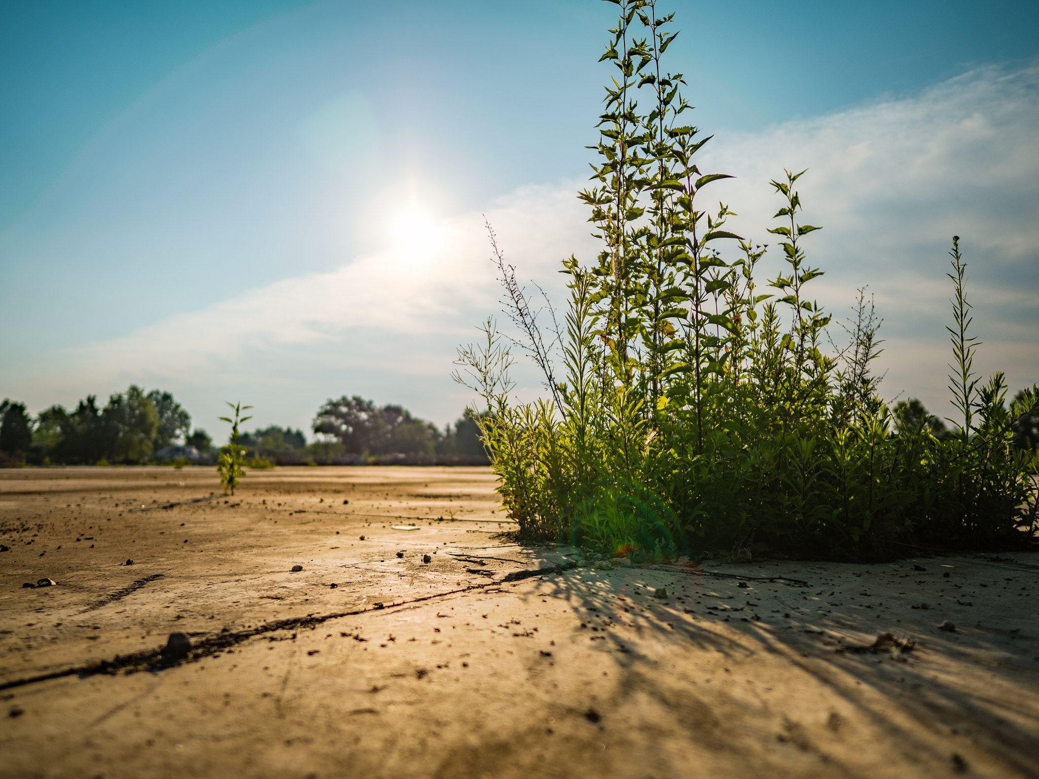 Panasonic Lumix DMC-GX8 + LEICA DG SUMMILUX 12/F1.4 sample photo. Gx8_12mm_summilux_10 photography