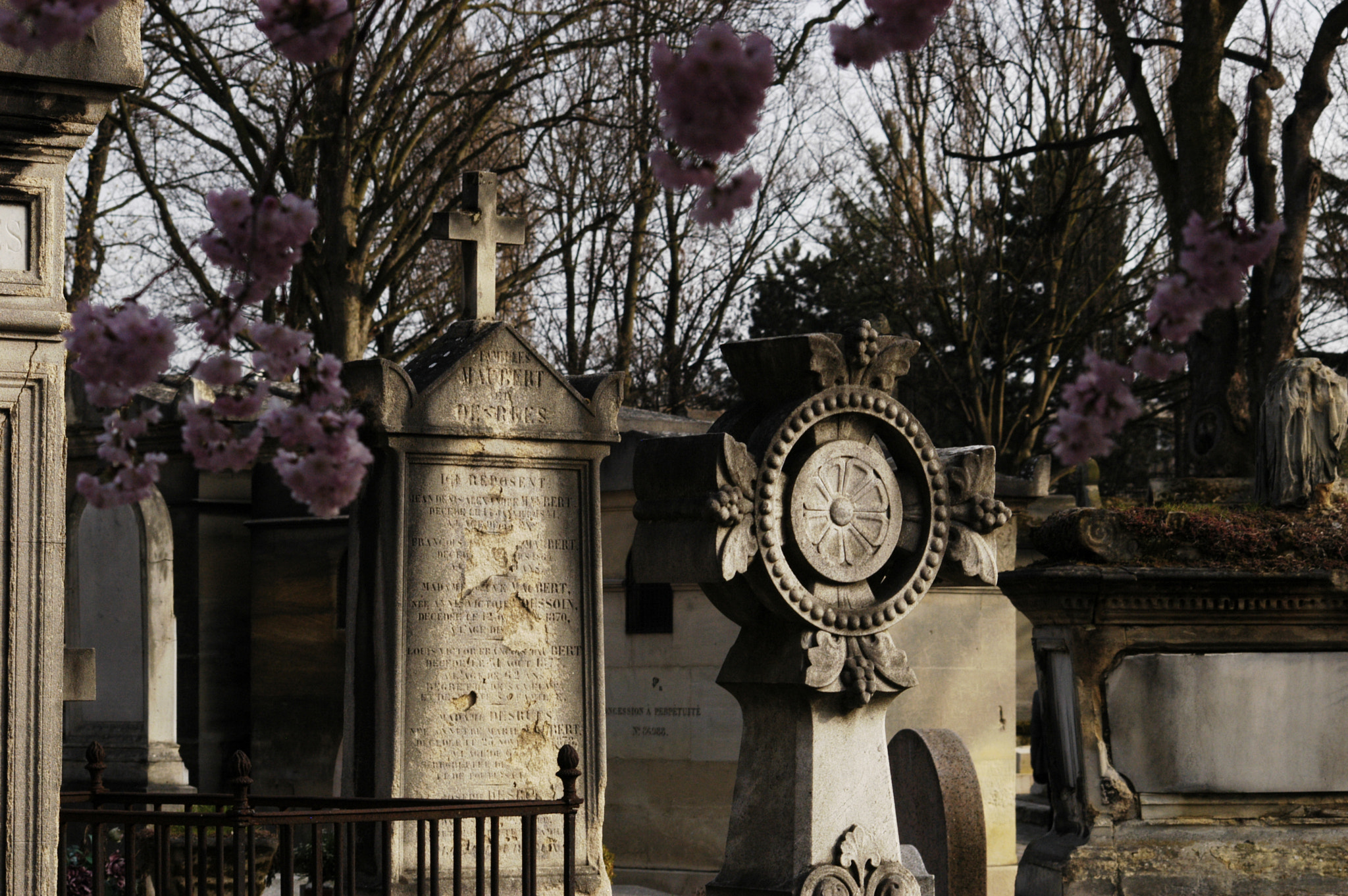 Nikon D100 sample photo. Les morts photography