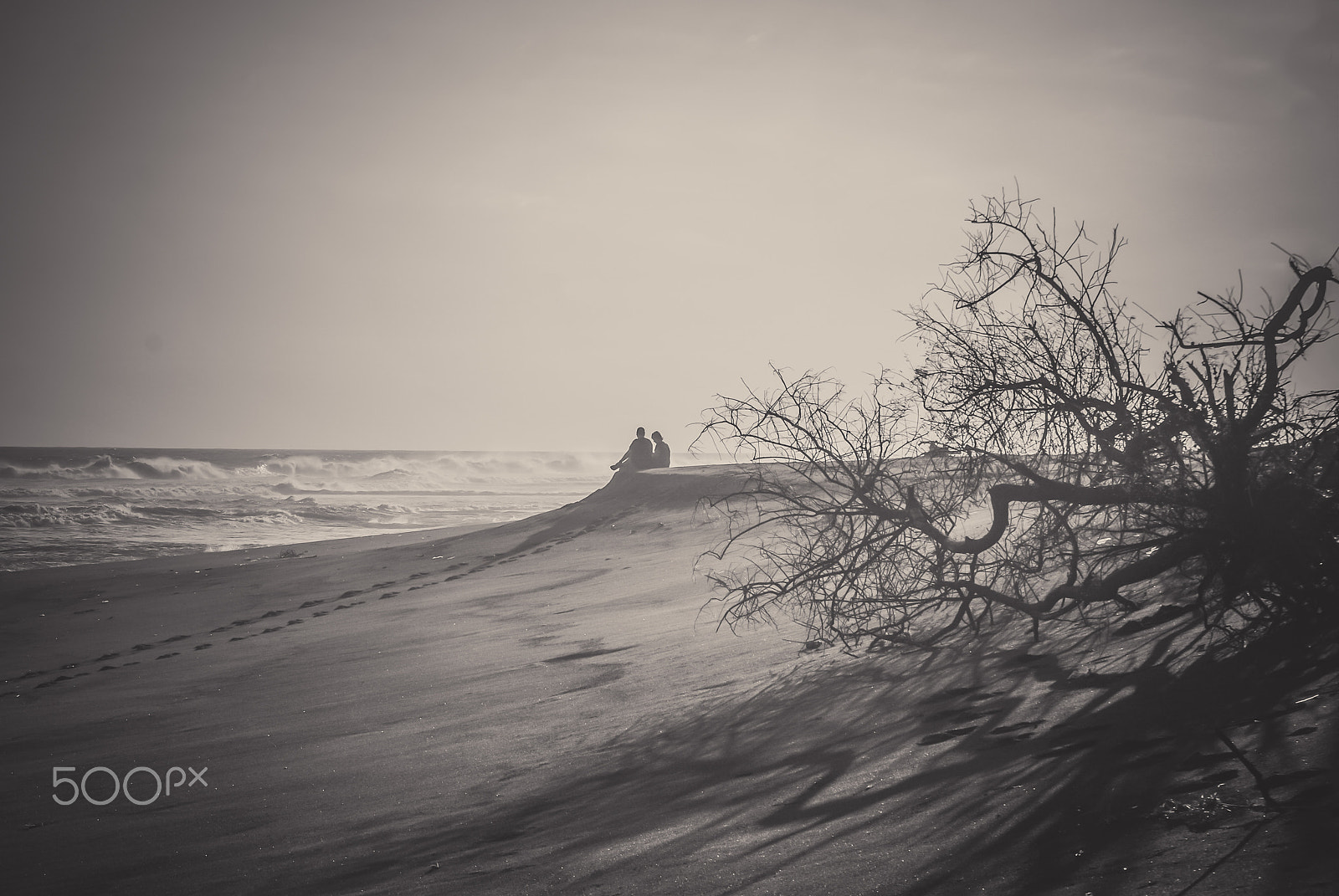 Nikon D60 sample photo. Romantism photography