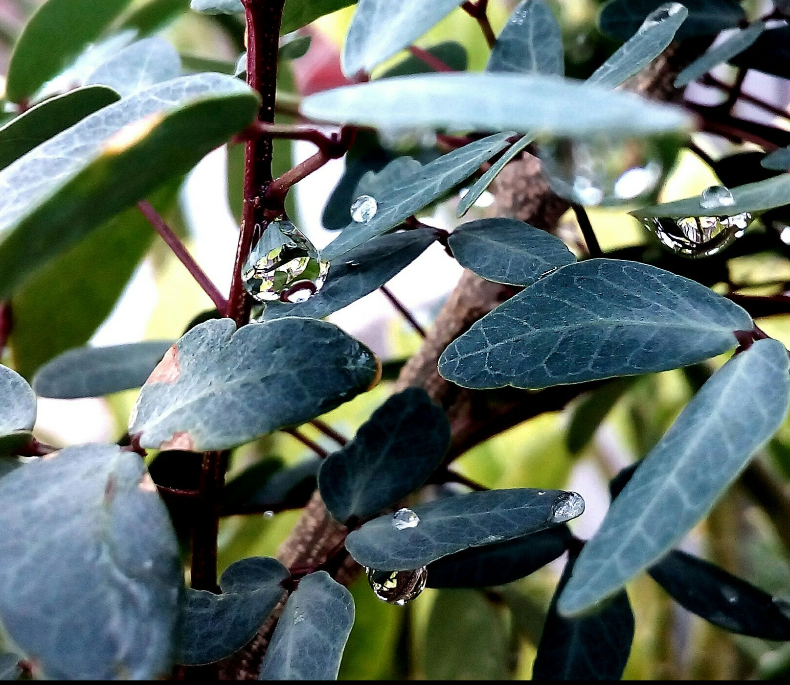 Micromax Canvas Juice 4G sample photo