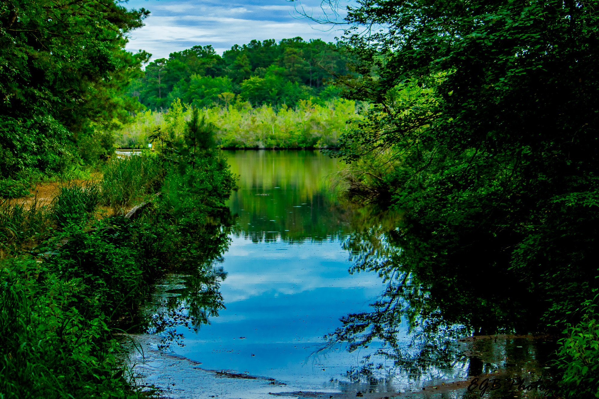 Canon EF-S 55-250mm F4-5.6 IS sample photo. Reflections of life photography