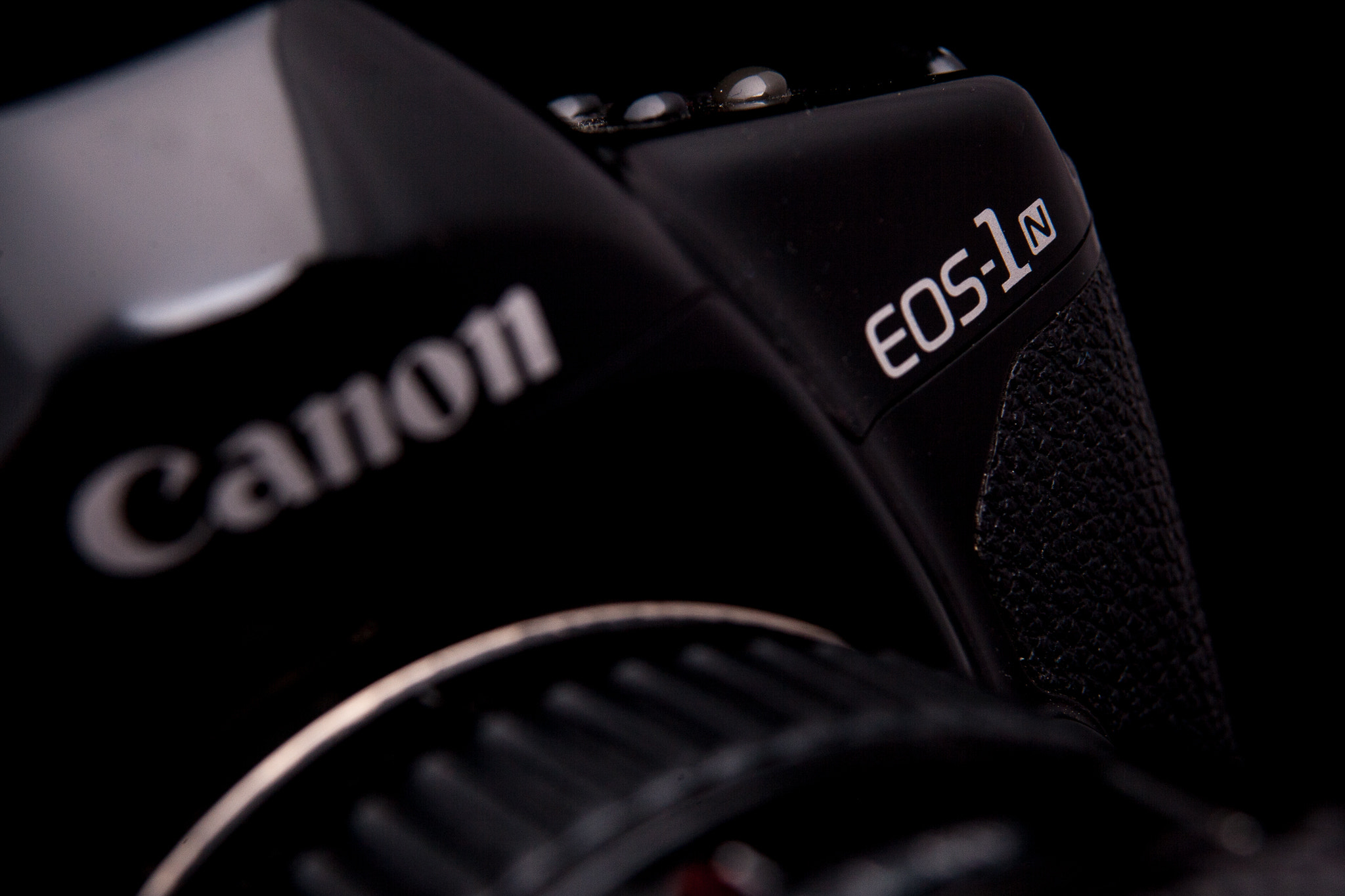 Canon EOS-1D Mark III + EF28-70mm f/2.8L USM sample photo. Eos 1n photography
