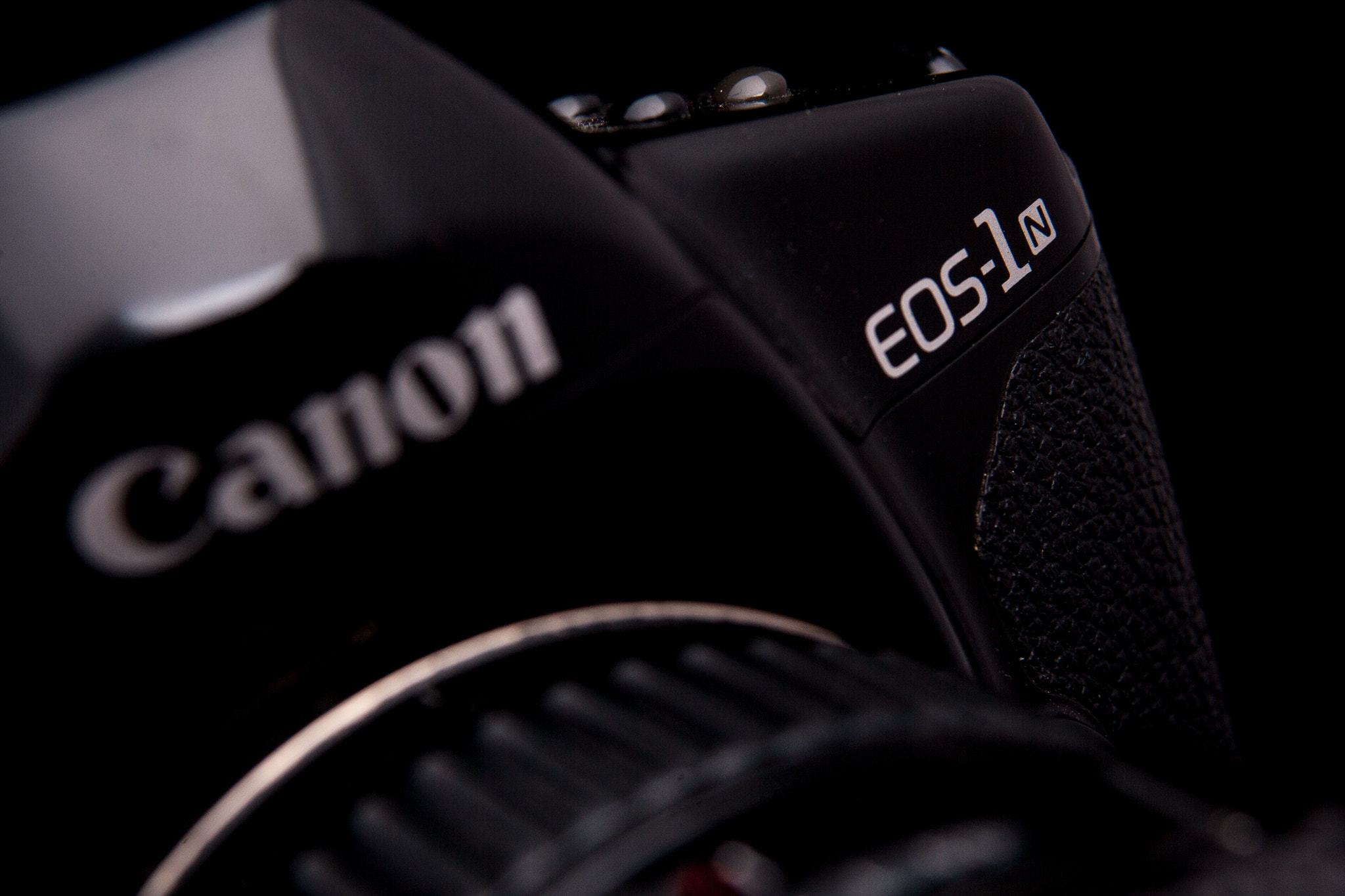 EF28-70mm f/2.8L USM sample photo. Eos 1n photography