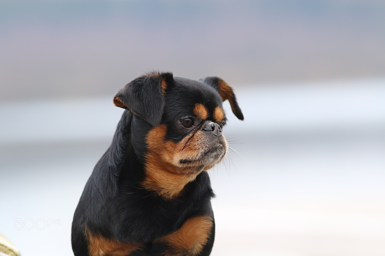 Canon EOS 70D + Canon EF 200mm F2.8L II USM sample photo. Was für ein sommer .... photography