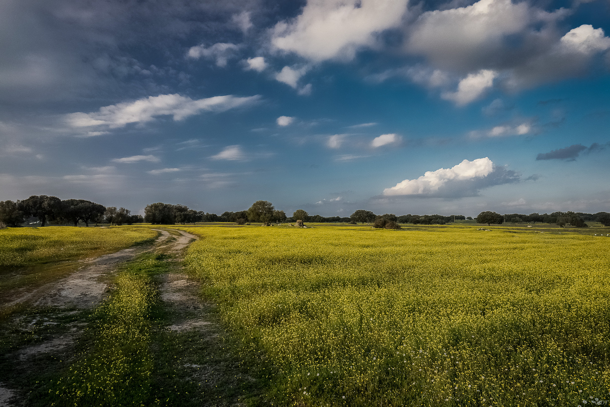 Sony Alpha NEX-7 + Sony E 10-18mm F4 OSS sample photo. Heaven's road photography