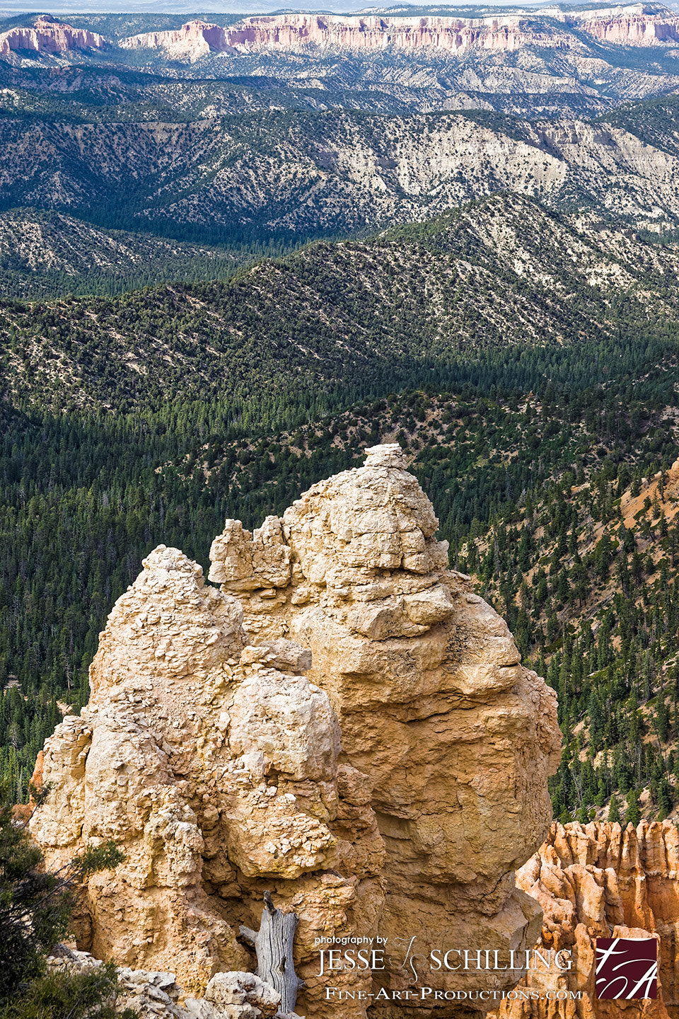 Sony a6000 + Canon EF-S 17-55mm F2.8 IS USM sample photo. Bryce canyon overlook photography