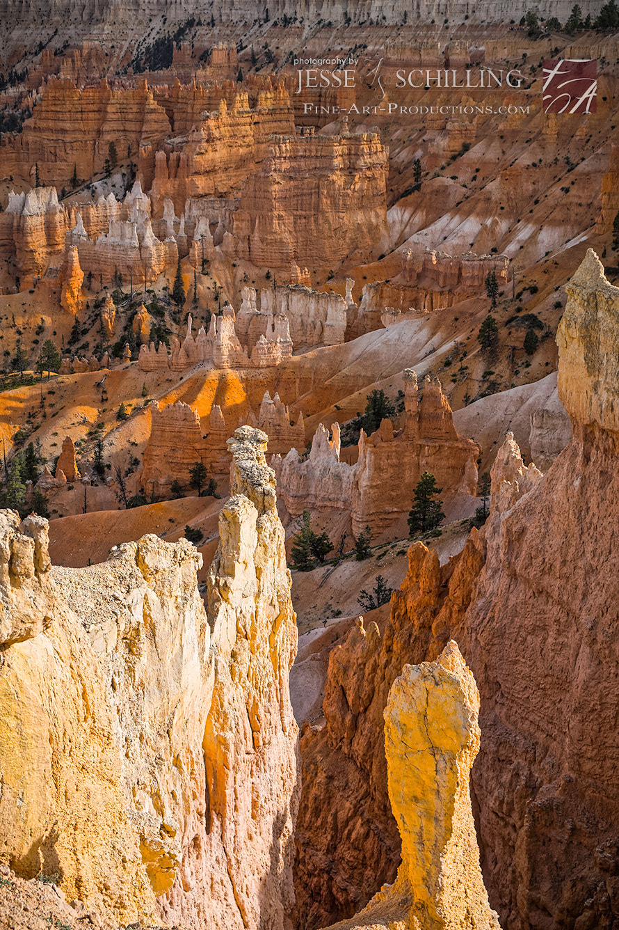 Sony a6000 + Canon EF-S 17-55mm F2.8 IS USM sample photo. Bryce canyon caldron of fire photography