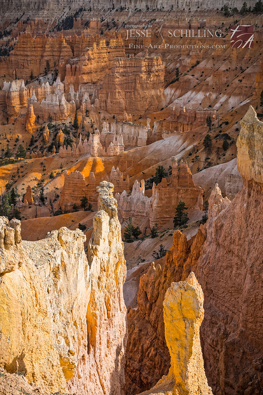 Canon EF-S 17-55mm F2.8 IS USM sample photo. Bryce canyon caldron of fire photography