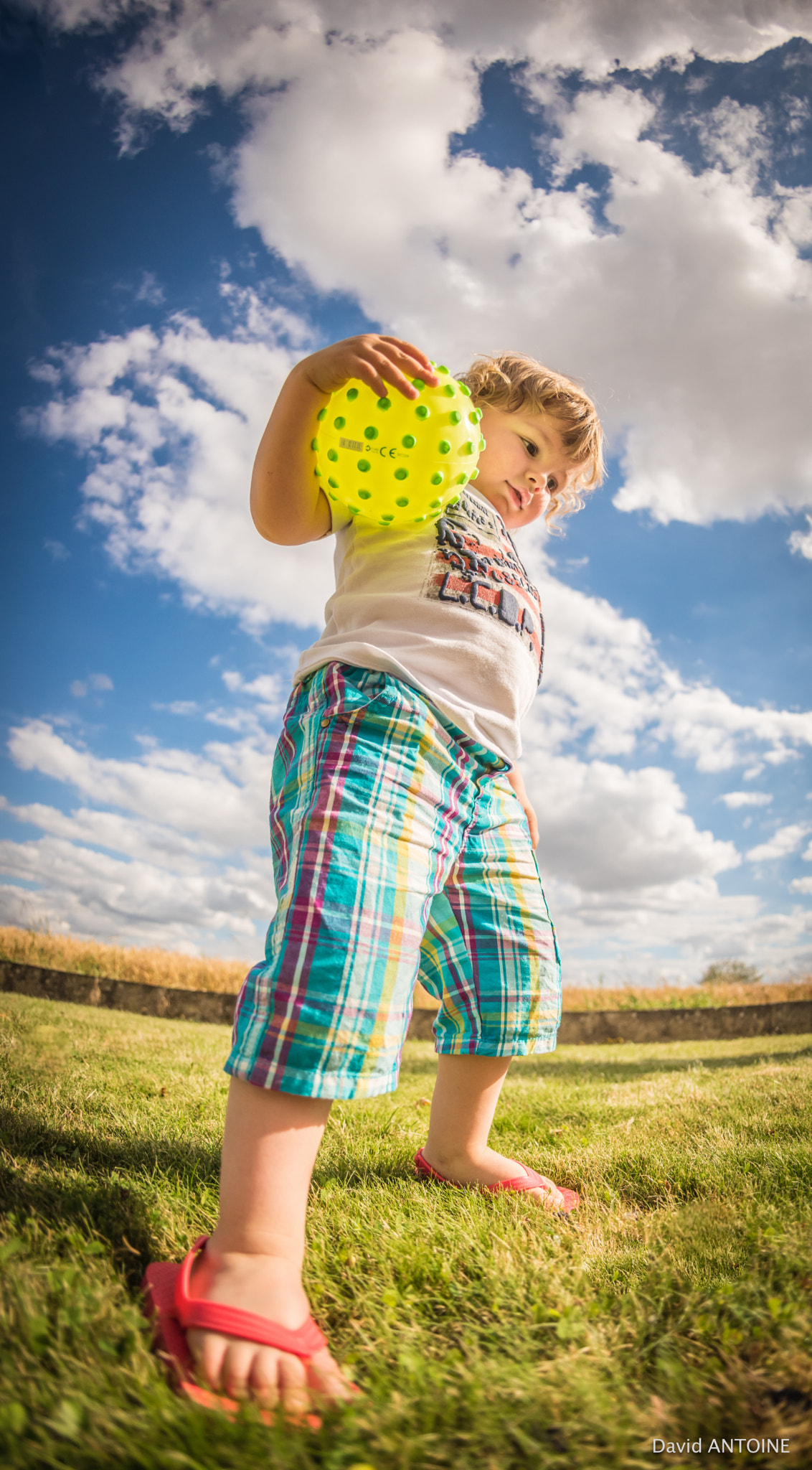 Nikon AF Fisheye-Nikkor 16mm F2.8D sample photo. Gulliver photography