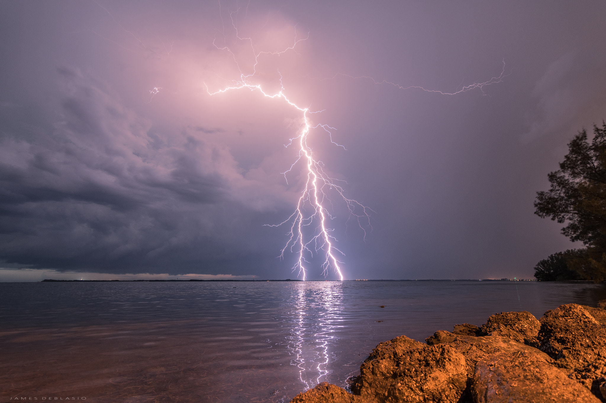 Nikon D500 sample photo. Electrifying photography