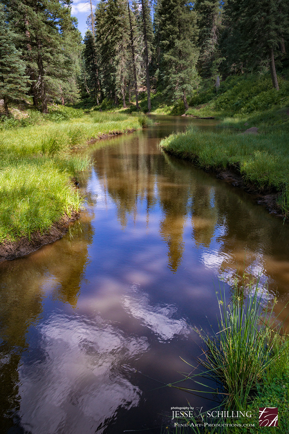 Canon EF-S 17-55mm F2.8 IS USM sample photo. Woods canyon lake reflections on the blue water photography