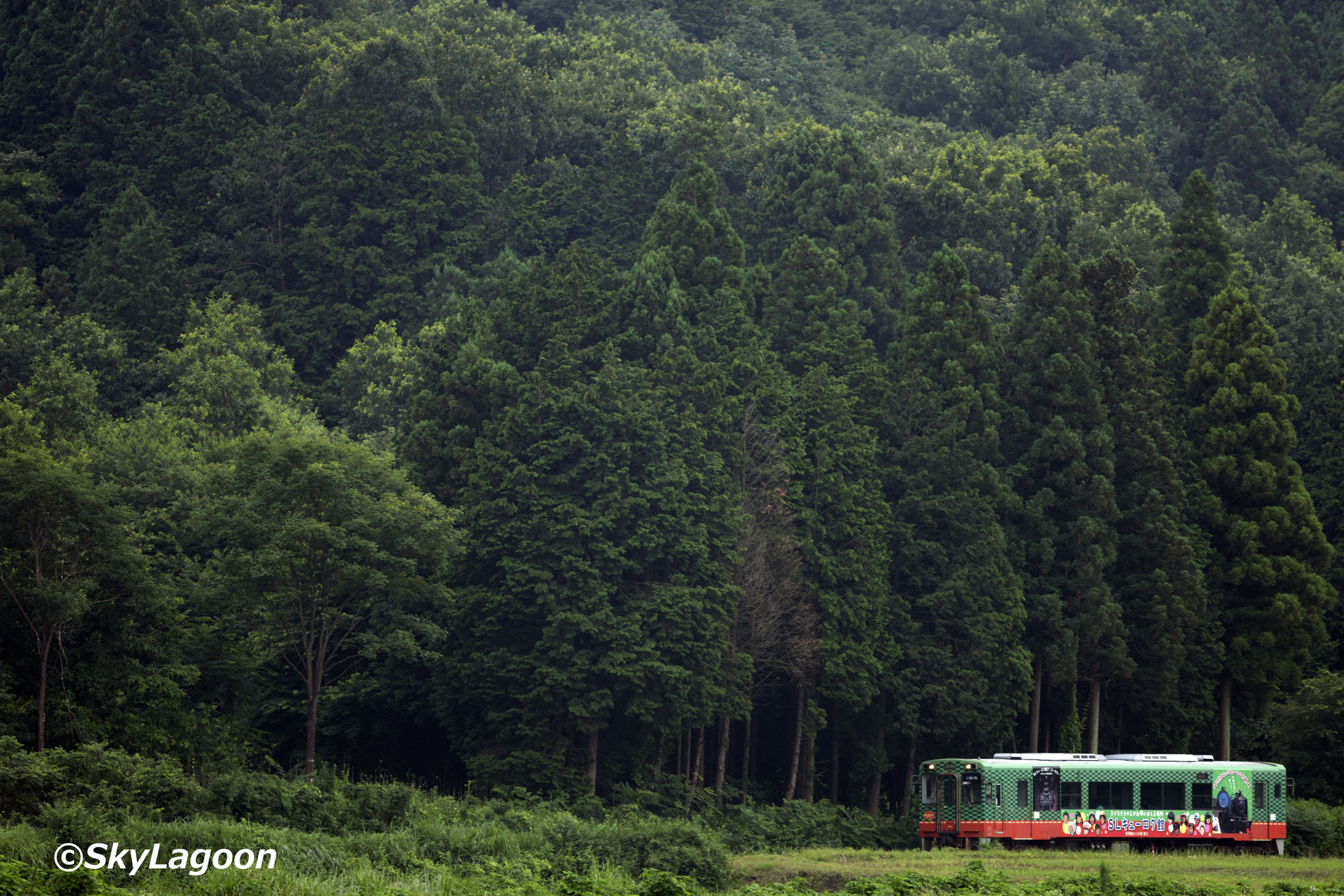 Nikon AF-S Nikkor 300mm F2.8G ED VR II sample photo. Railway bus photography