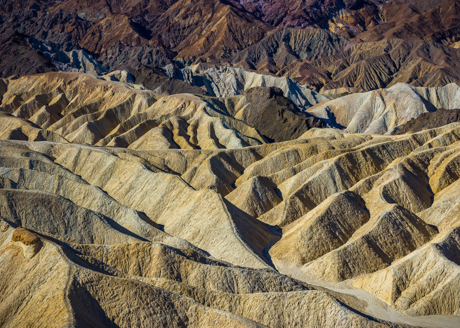Mamiya LS 80mm f/2.8 D sample photo. Shapes and colors of death valley photography