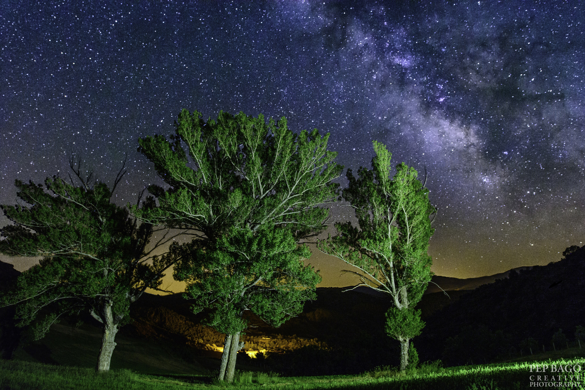 Nikon D5200 + Sigma 18-35mm F1.8 DC HSM Art sample photo. Field trees (i) photography