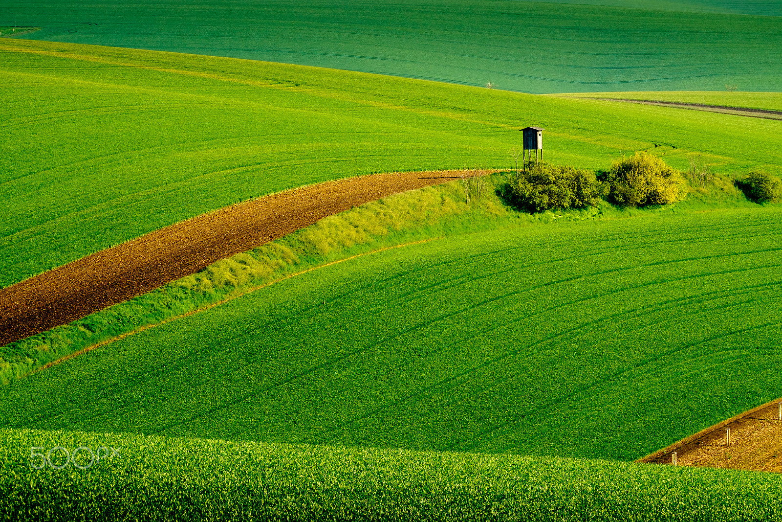 Fujifilm XF 100-400mm F4.5-5.6 R LM OIS WR sample photo. Wavy meadows spring landscape in south moravia photography