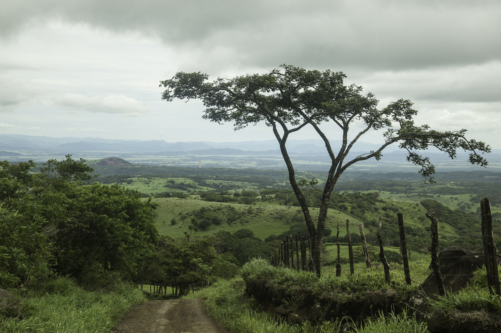 Nikon D4 sample photo. Camino de la palma. photography