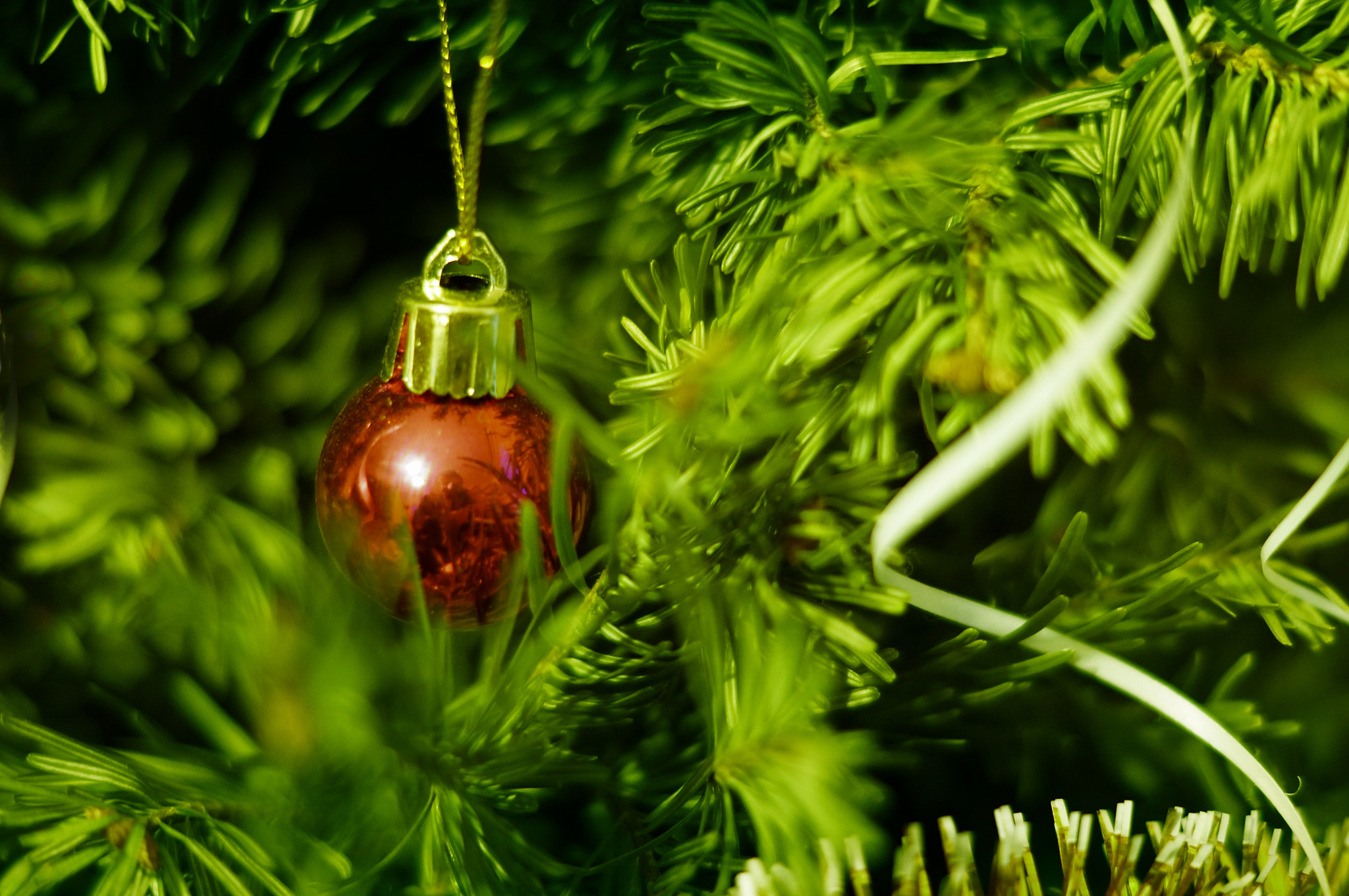 Sony SLT-A57 + Sony DT 50mm F1.8 SAM sample photo. A christmas tree decoration photography