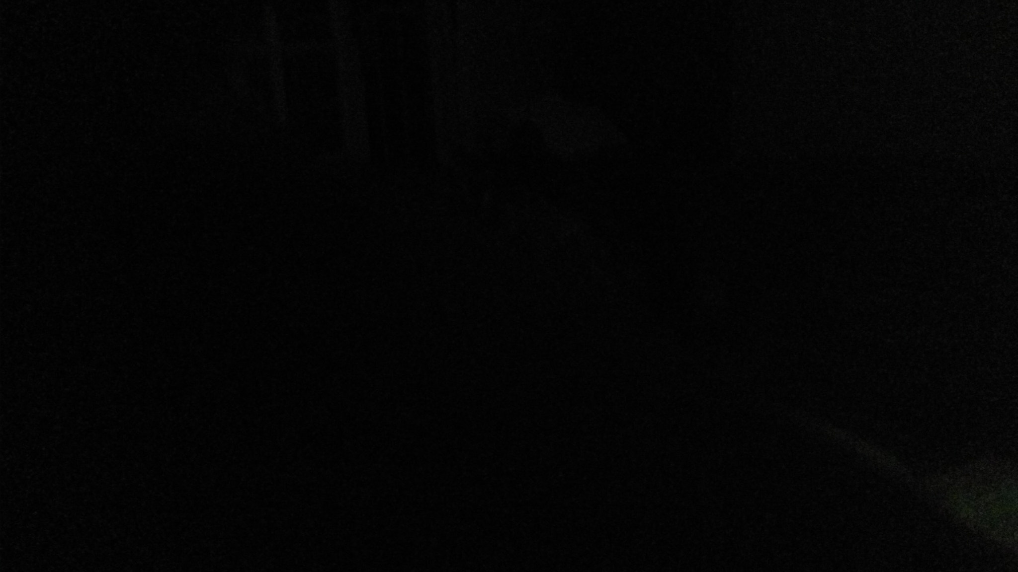 LG M1 sample photo
