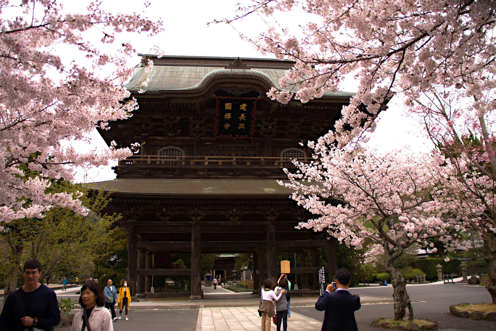 Canon EOS 40D sample photo. 建長寺 () photography