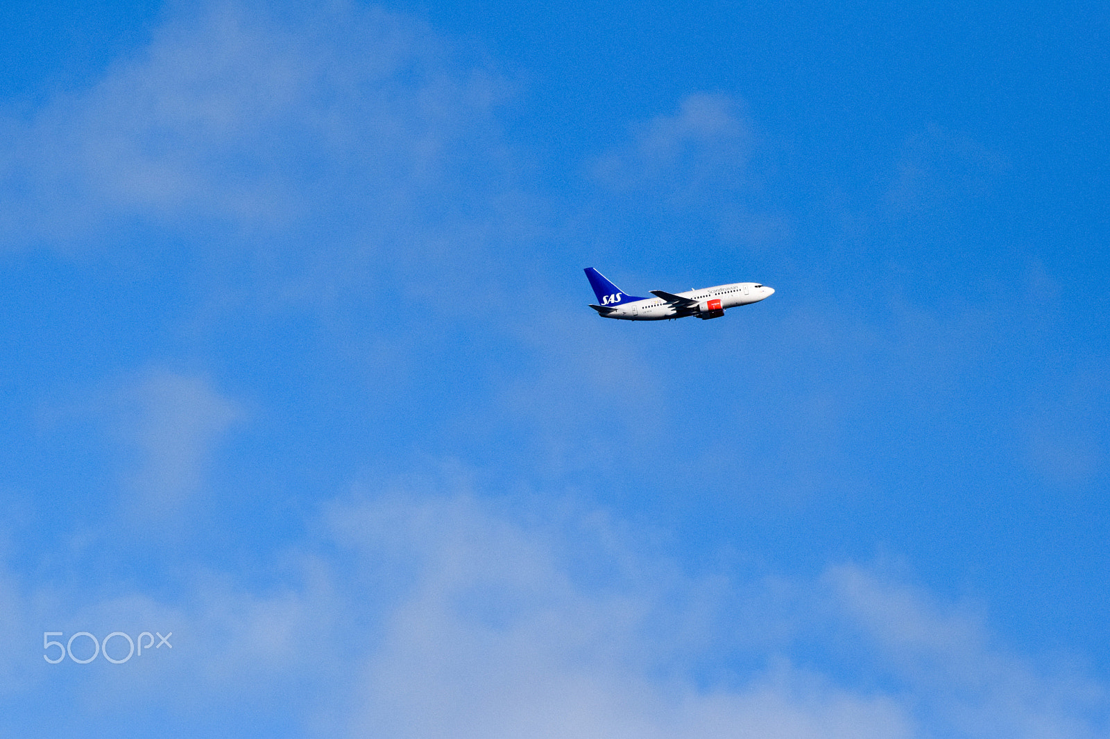 Tamron SP 150-600mm F5-6.3 Di VC USD sample photo. In flight photography