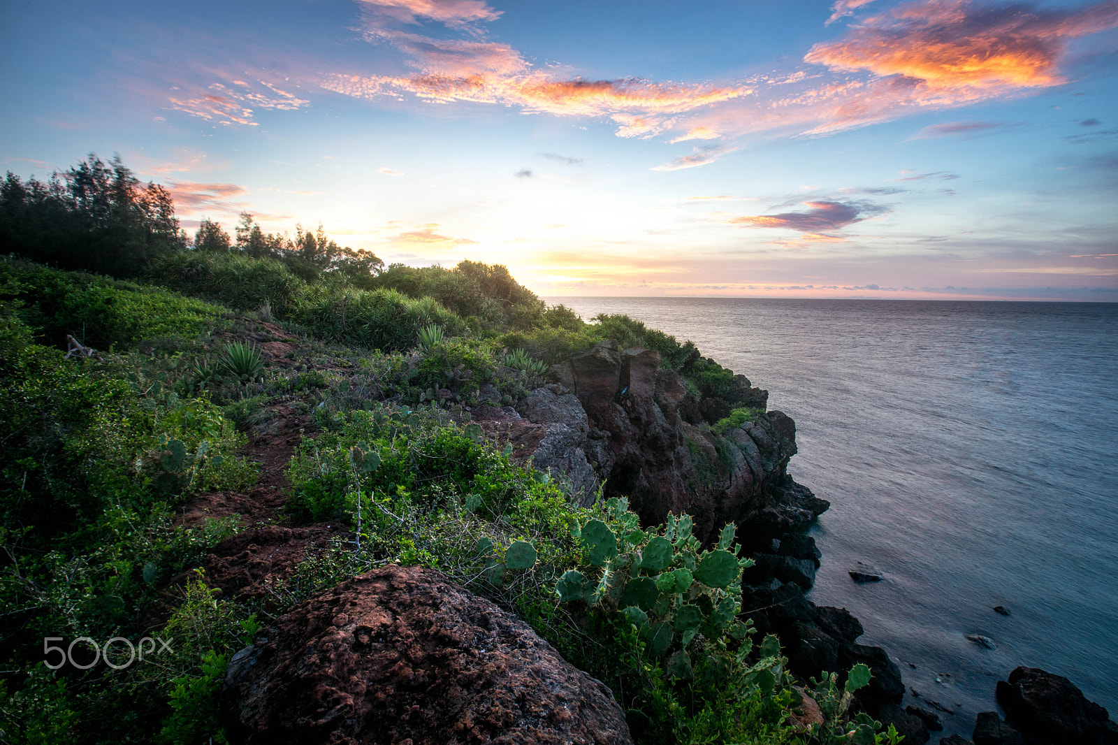 Canon EF 16-35mm F2.8L II USM sample photo. Dragon doorr photography