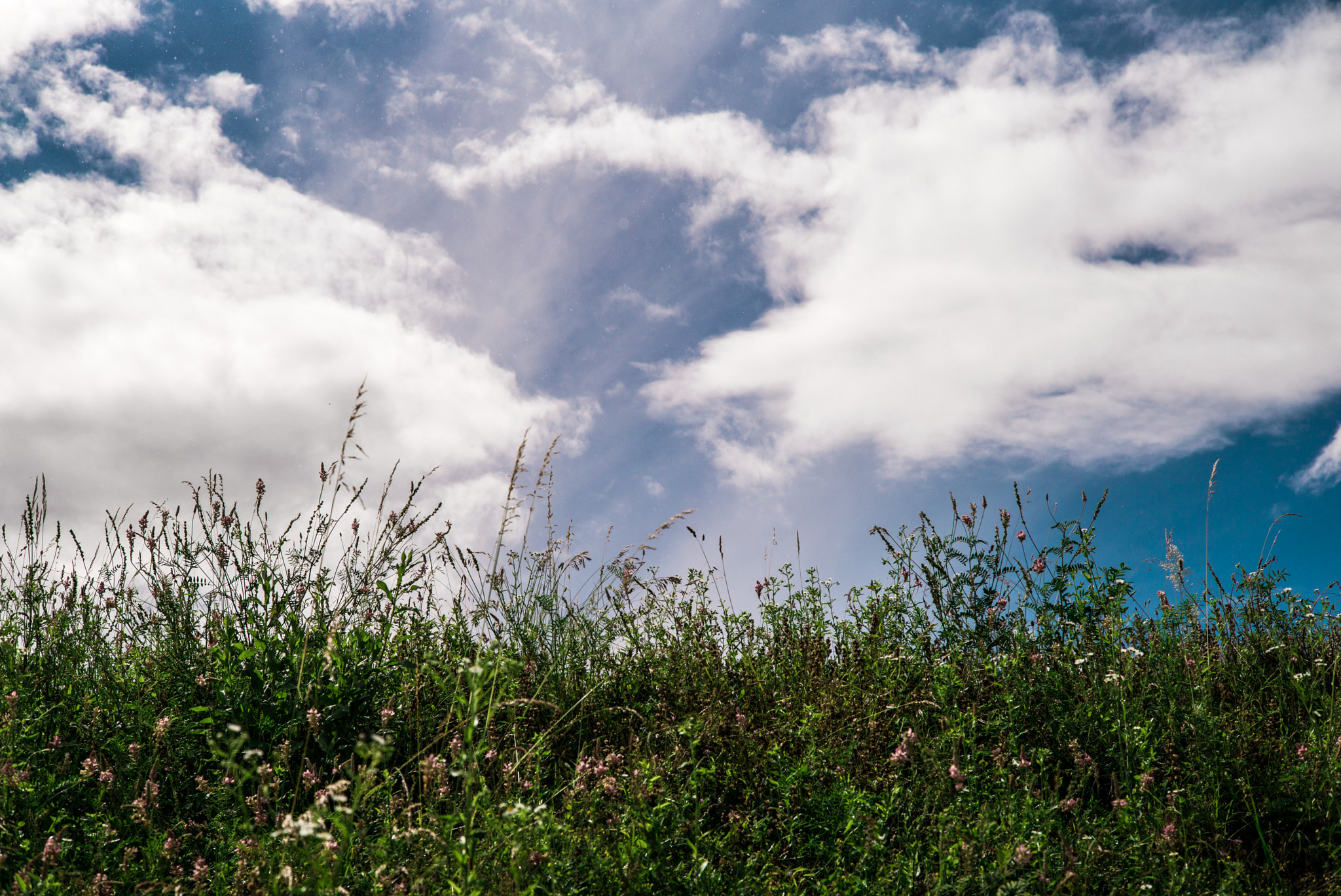 Leica M (Typ 240) + Leica Summarit-M 50mm F2.5 sample photo. Things photography