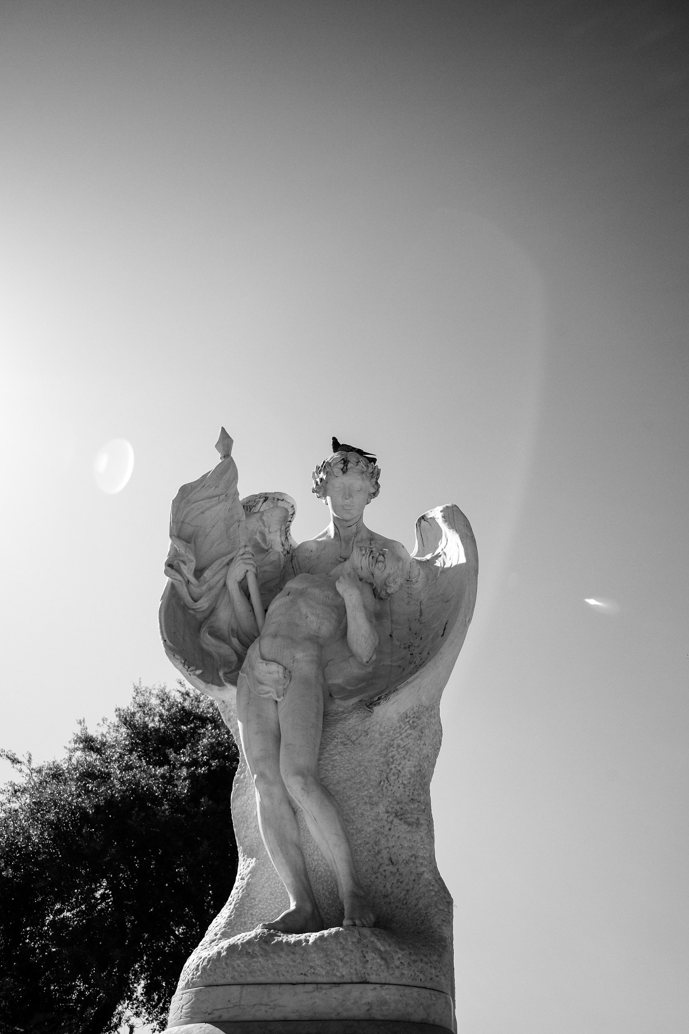 Elmarit-M 1:2.8/21 ASPH. sample photo. Italy photography