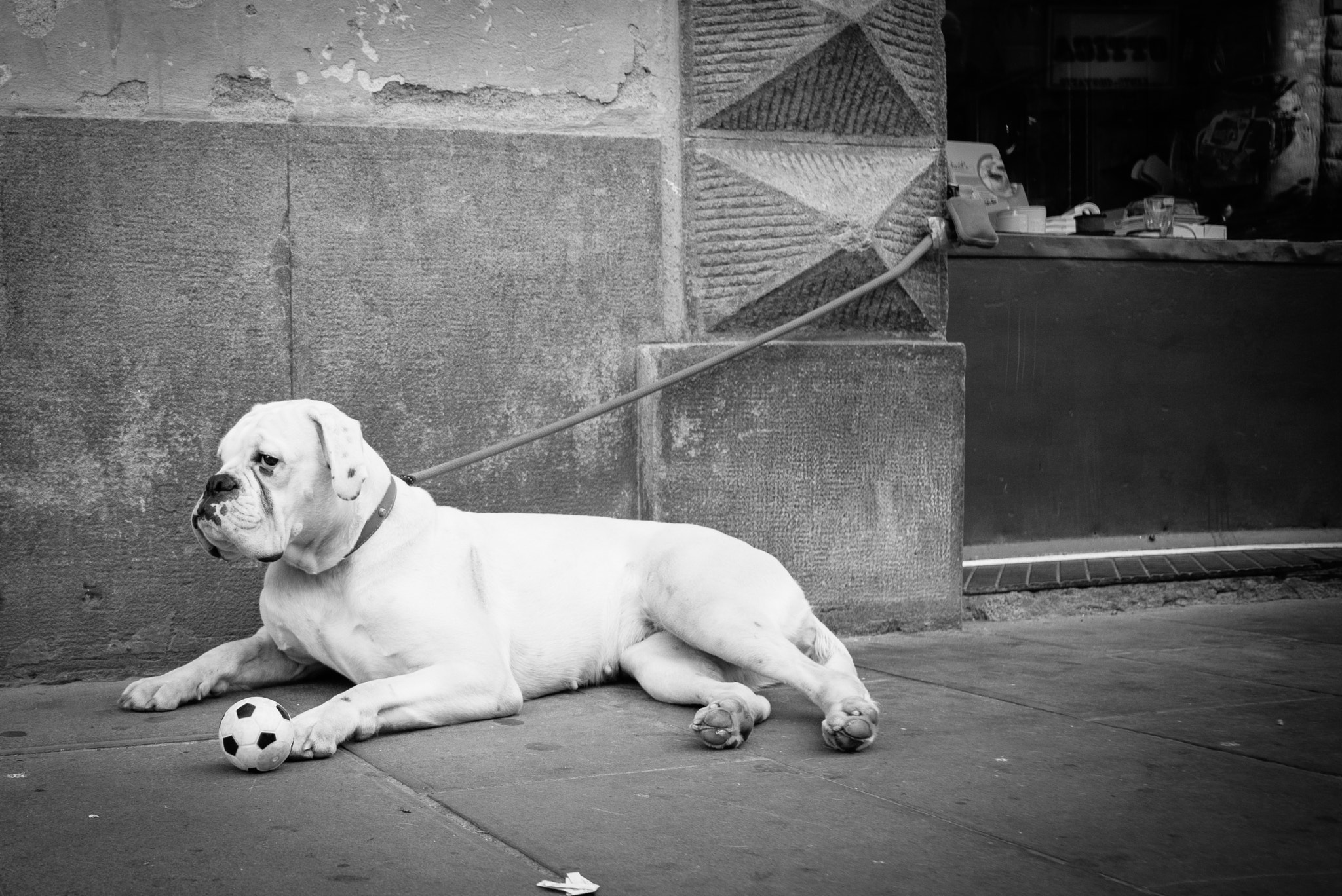 Elmarit-M 1:2.8/21 ASPH. sample photo. Italy photography