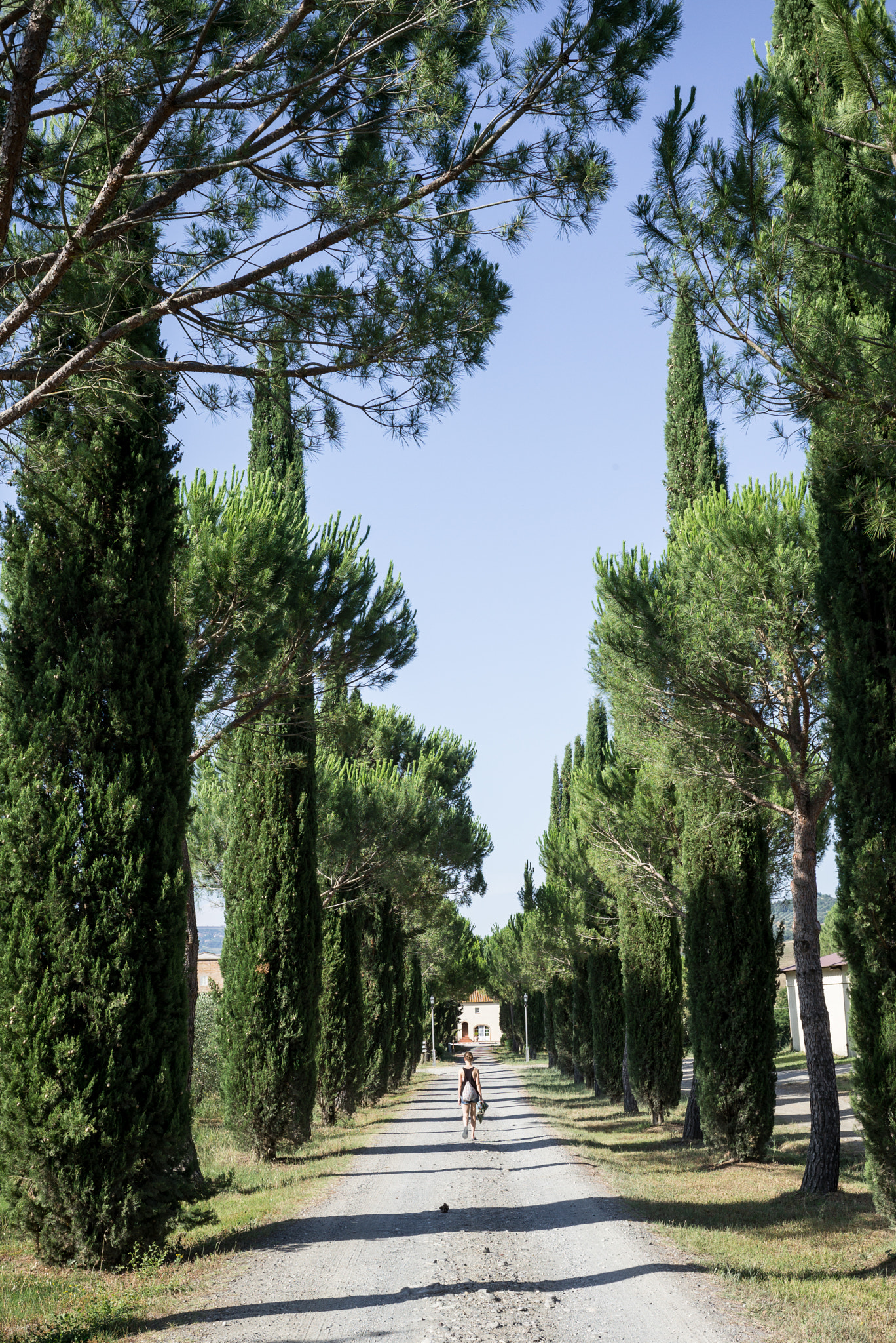 Summicron-M 1:2/35 sample photo. Italy photography