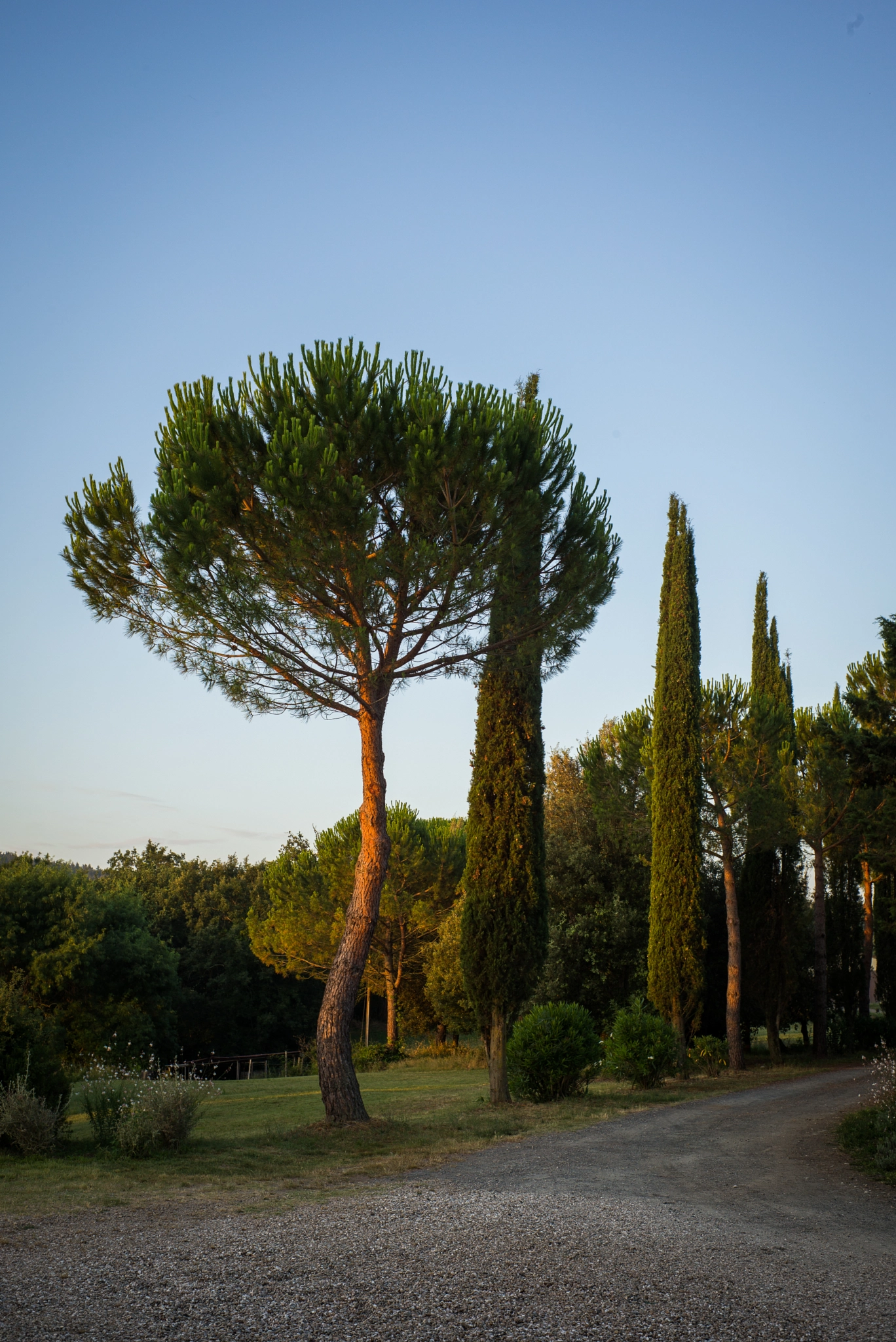 Summicron-M 1:2/35 sample photo. Italy photography