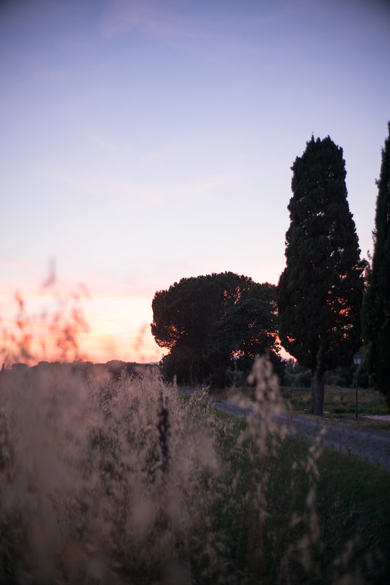 Summicron-M 1:2/35 sample photo. Italy photography