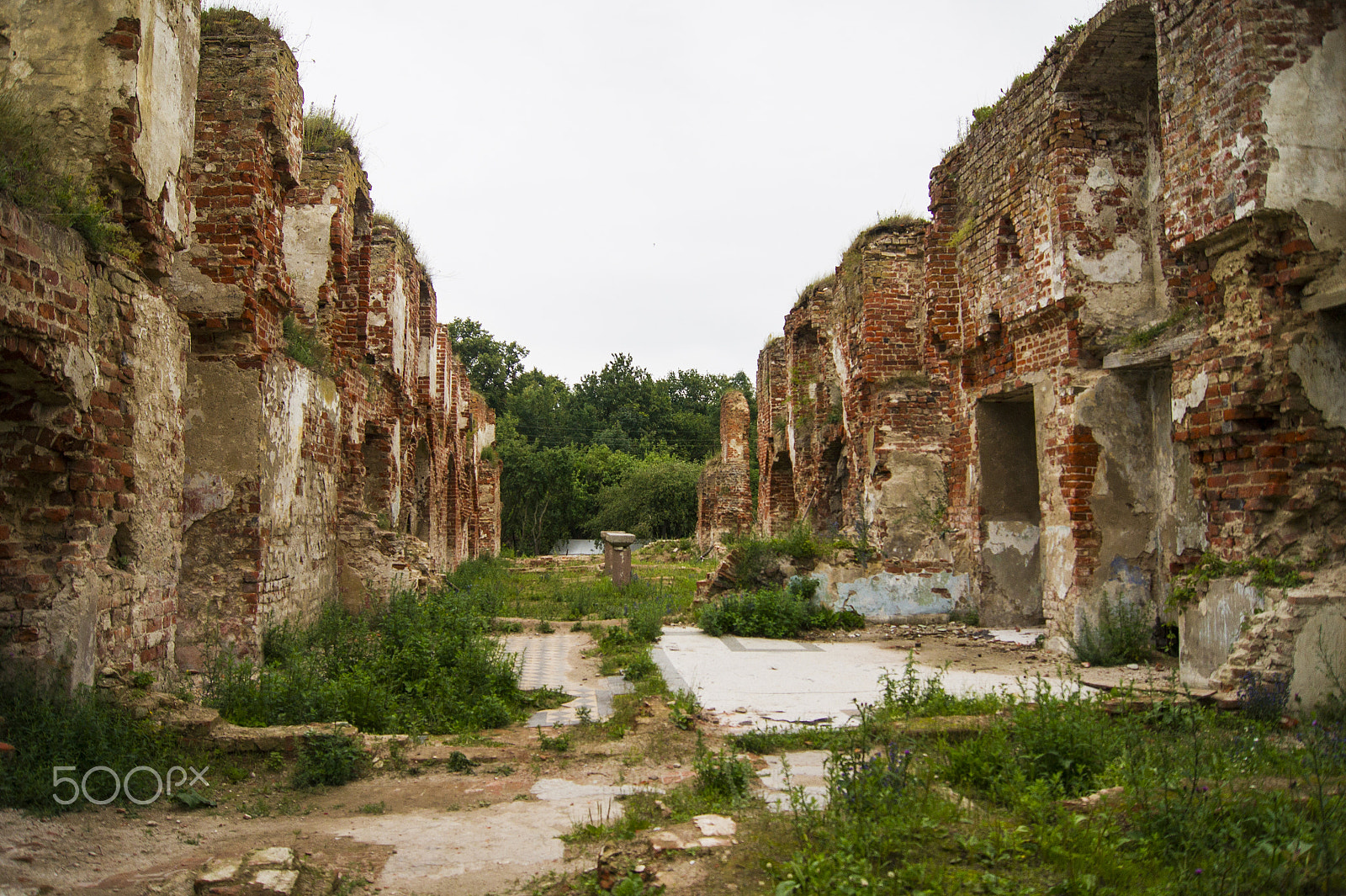 Sony Alpha DSLR-A450 + Sony DT 18-55mm F3.5-5.6 SAM sample photo. Brandenburg castle ruins photography