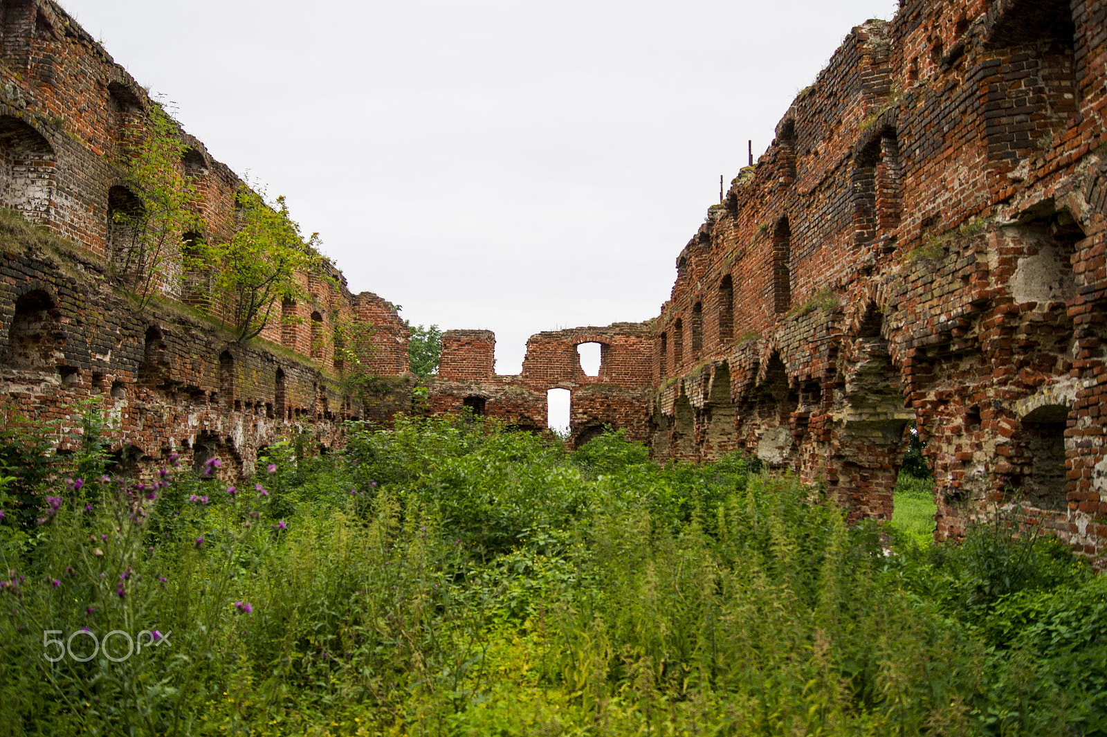 Sony Alpha DSLR-A450 + Sony DT 18-55mm F3.5-5.6 SAM sample photo. Brandenburg castle ruins photography